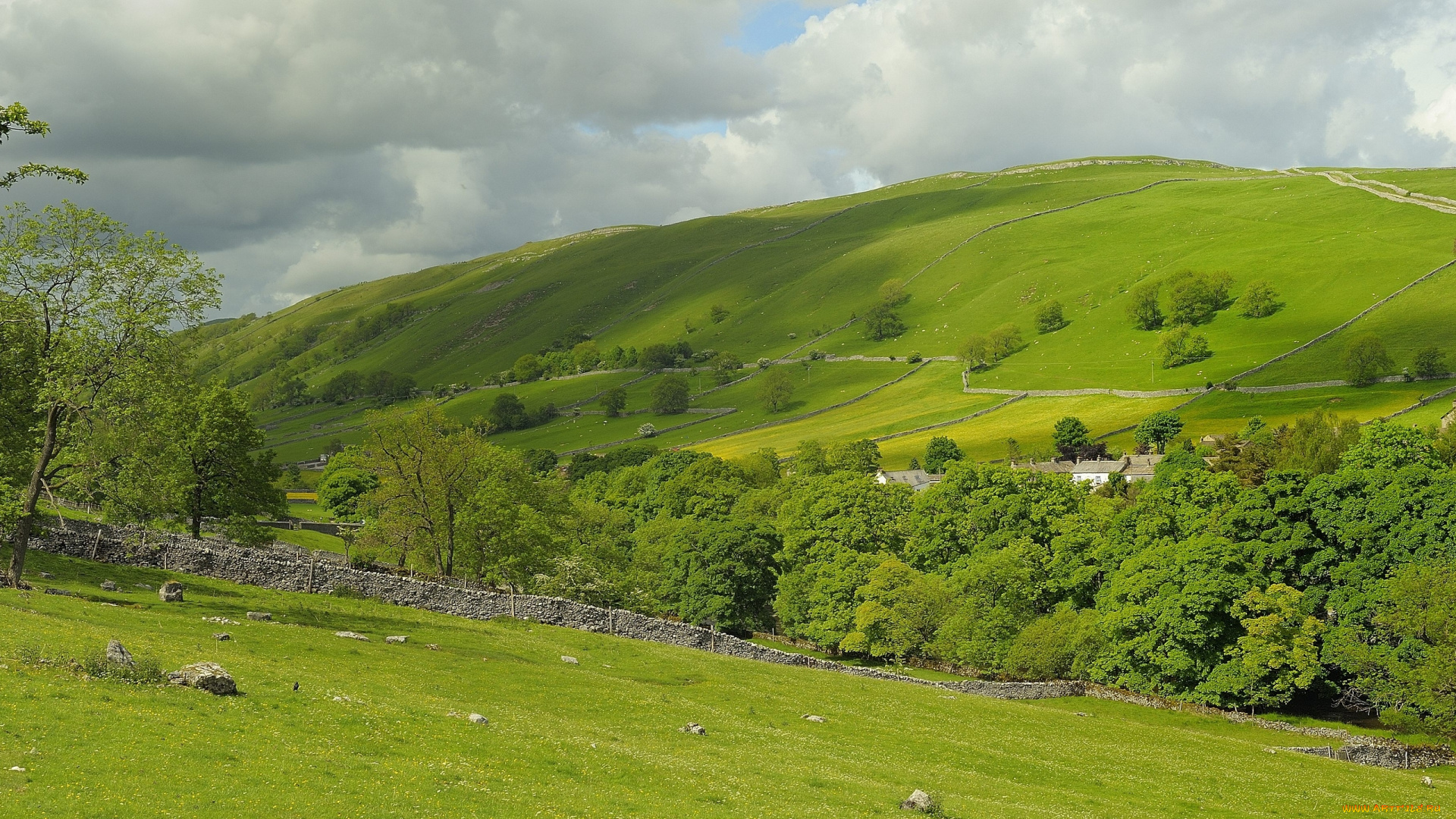 kettlewell, england, природа, поля, англия, деревья, пастбище, пейзаж