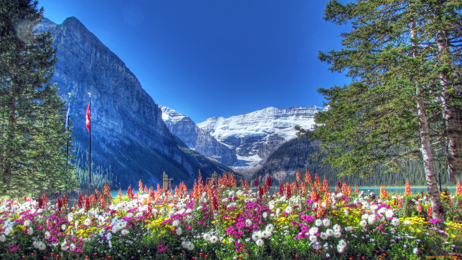 lake, louise, banff, national, park, alberta, canada, природа, горы, canadian, rockies, банф, альберта, канада, цветы, деревья, канадские, скалистые