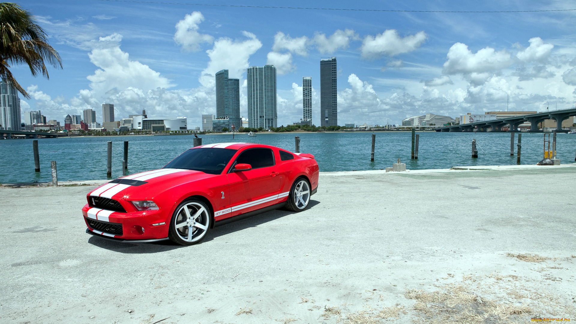 mustang, автомобили, ford, motor, company, сша