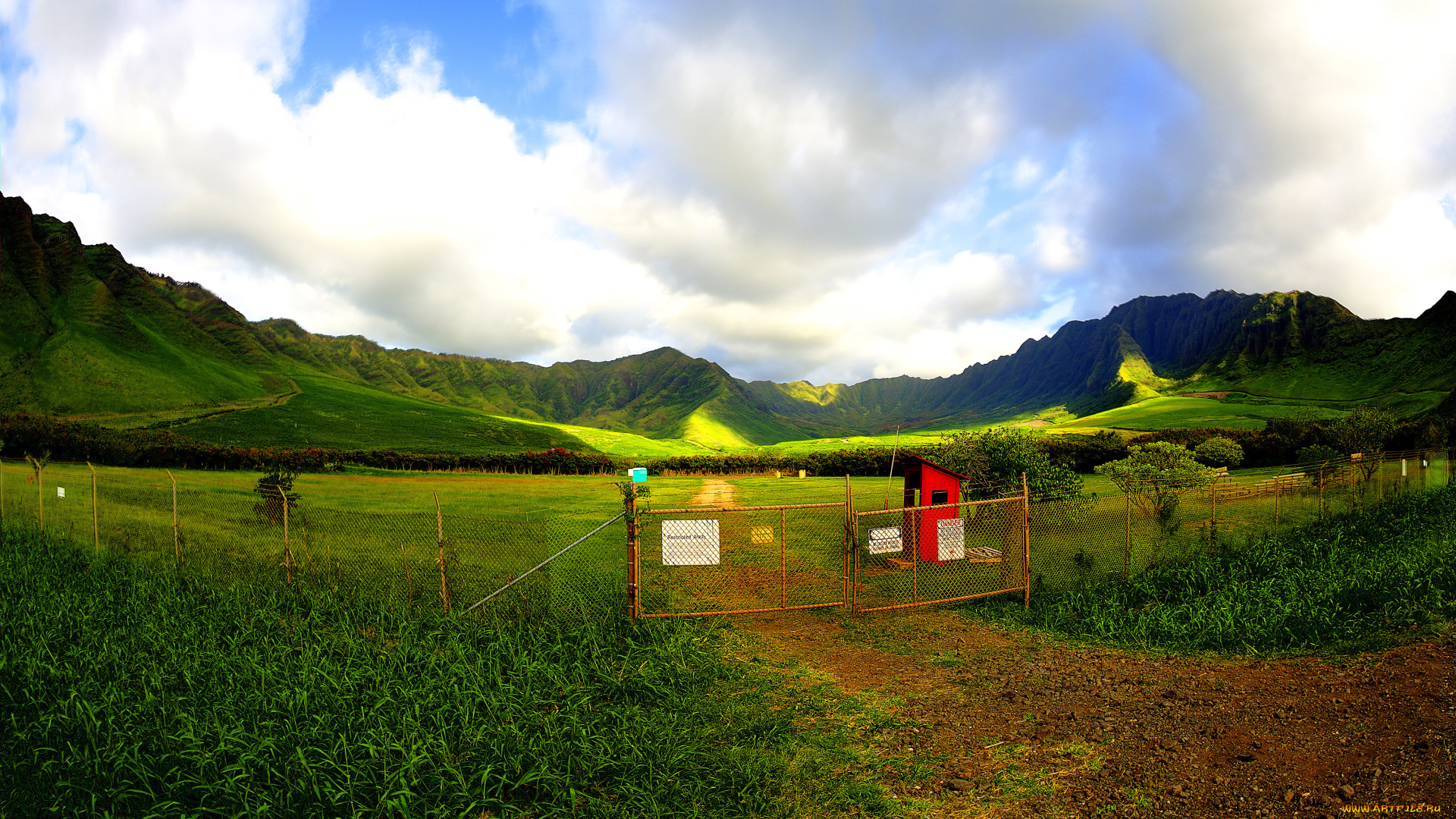 природа, другое, ограда