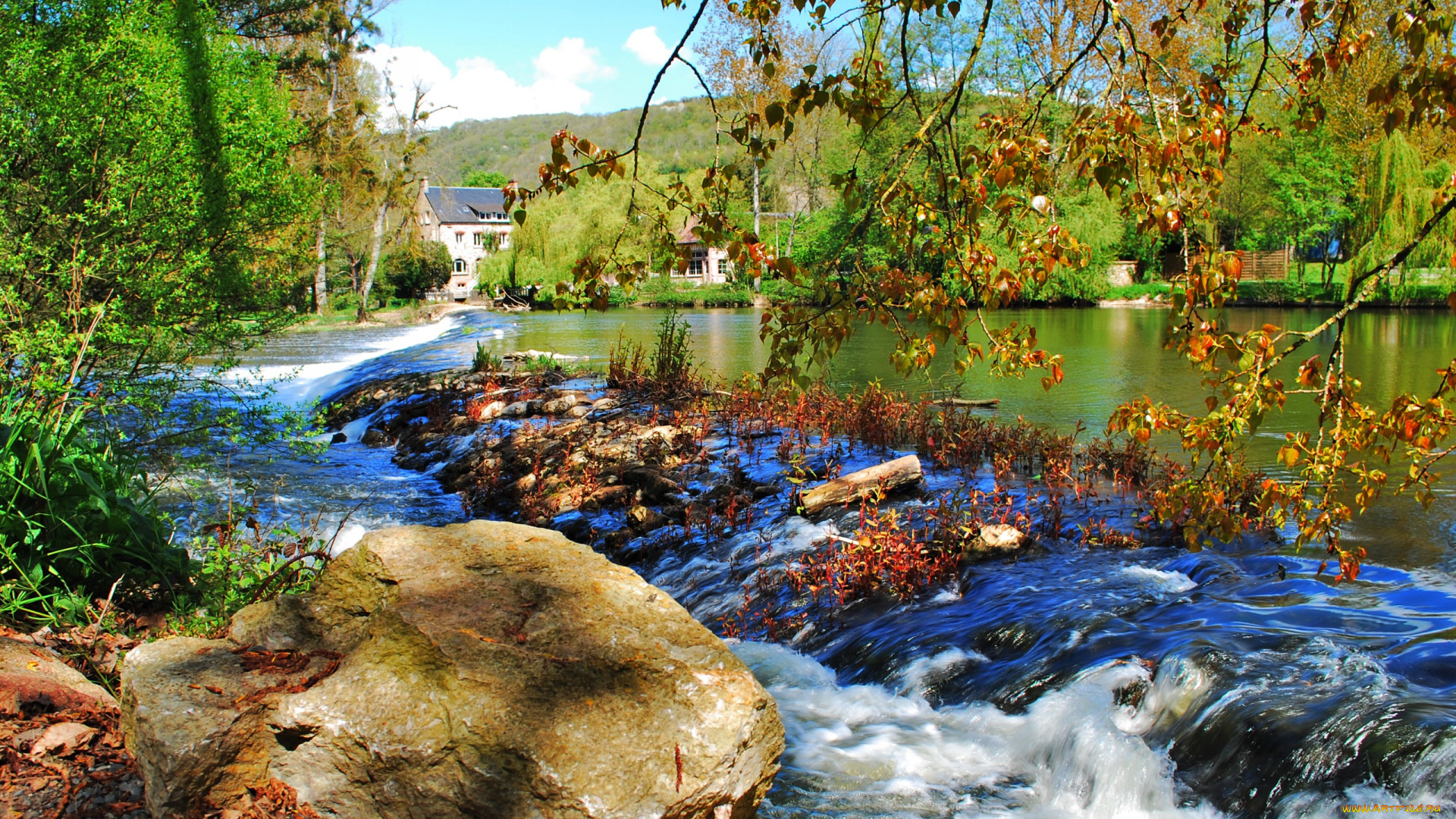 природа, реки, озера, река, лес, трава, камни, пороги