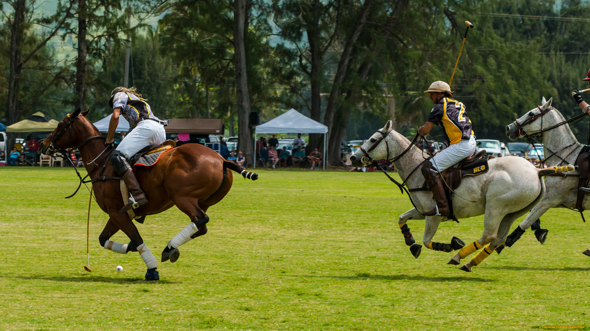 спорт, другое, поло, watanabe, yoshihiro, boku, wa, tomodachi, ga, sukunai, девушка, кимоно, узор, kashiwazaki, sena