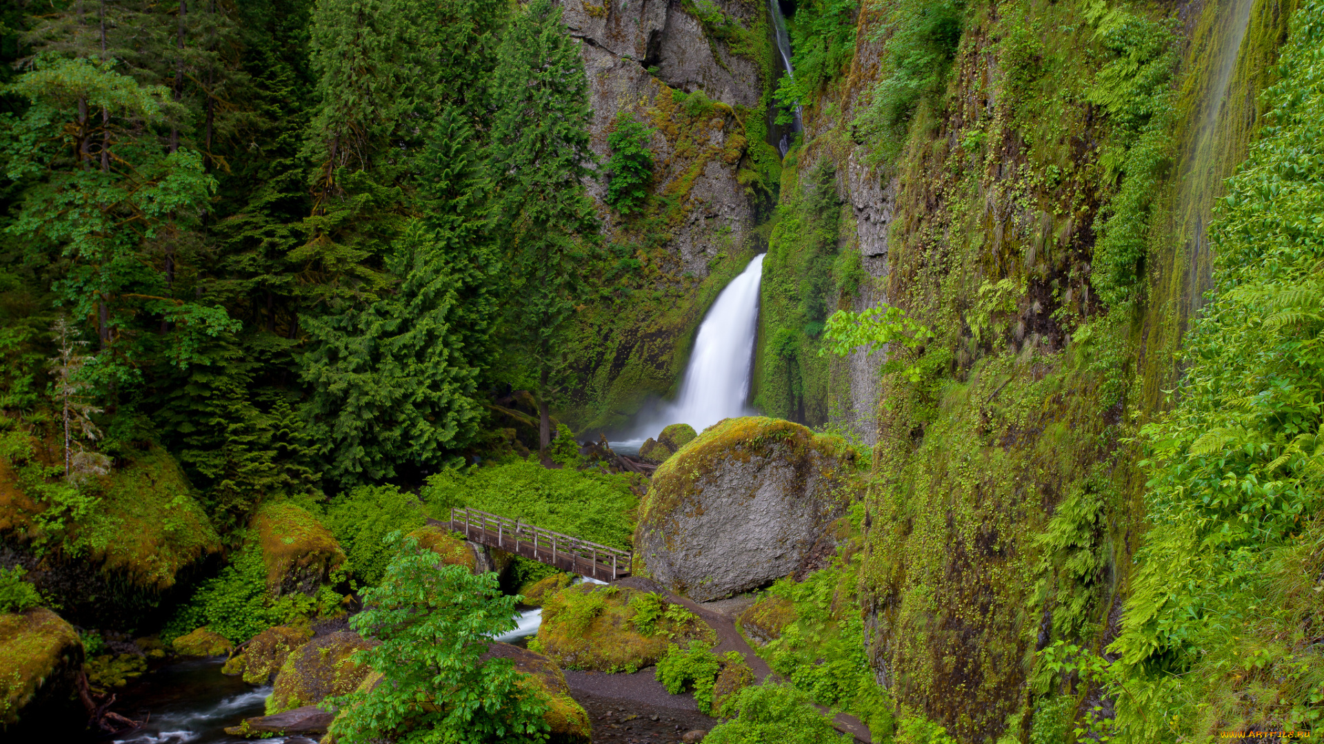 wahclella, falls, oregon, природа, водопады, скалы, река, мост, растительность