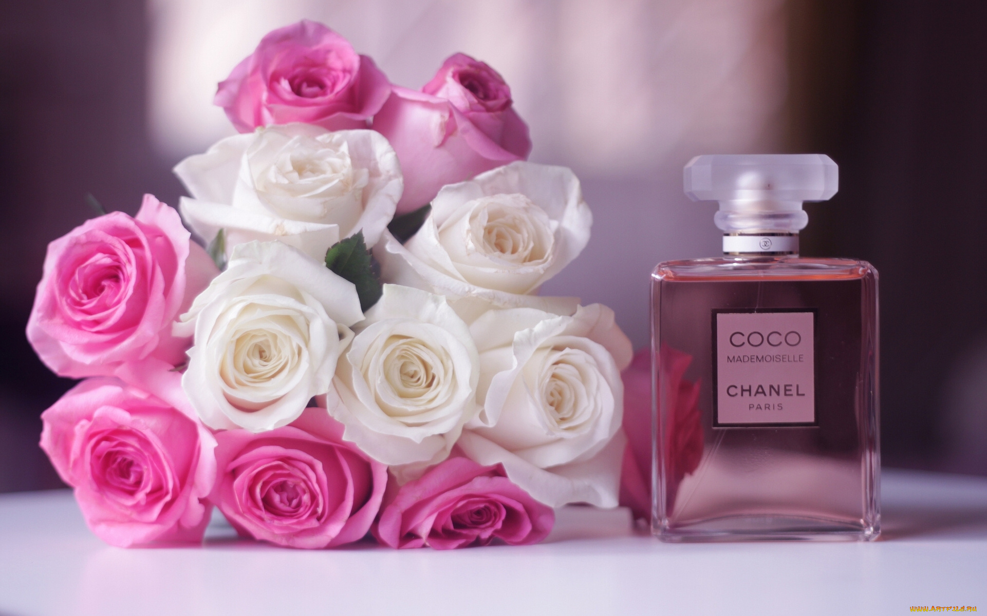 coco, chanel, бренды, цветы, розы, букет, бутоны, духи, коко, шанель