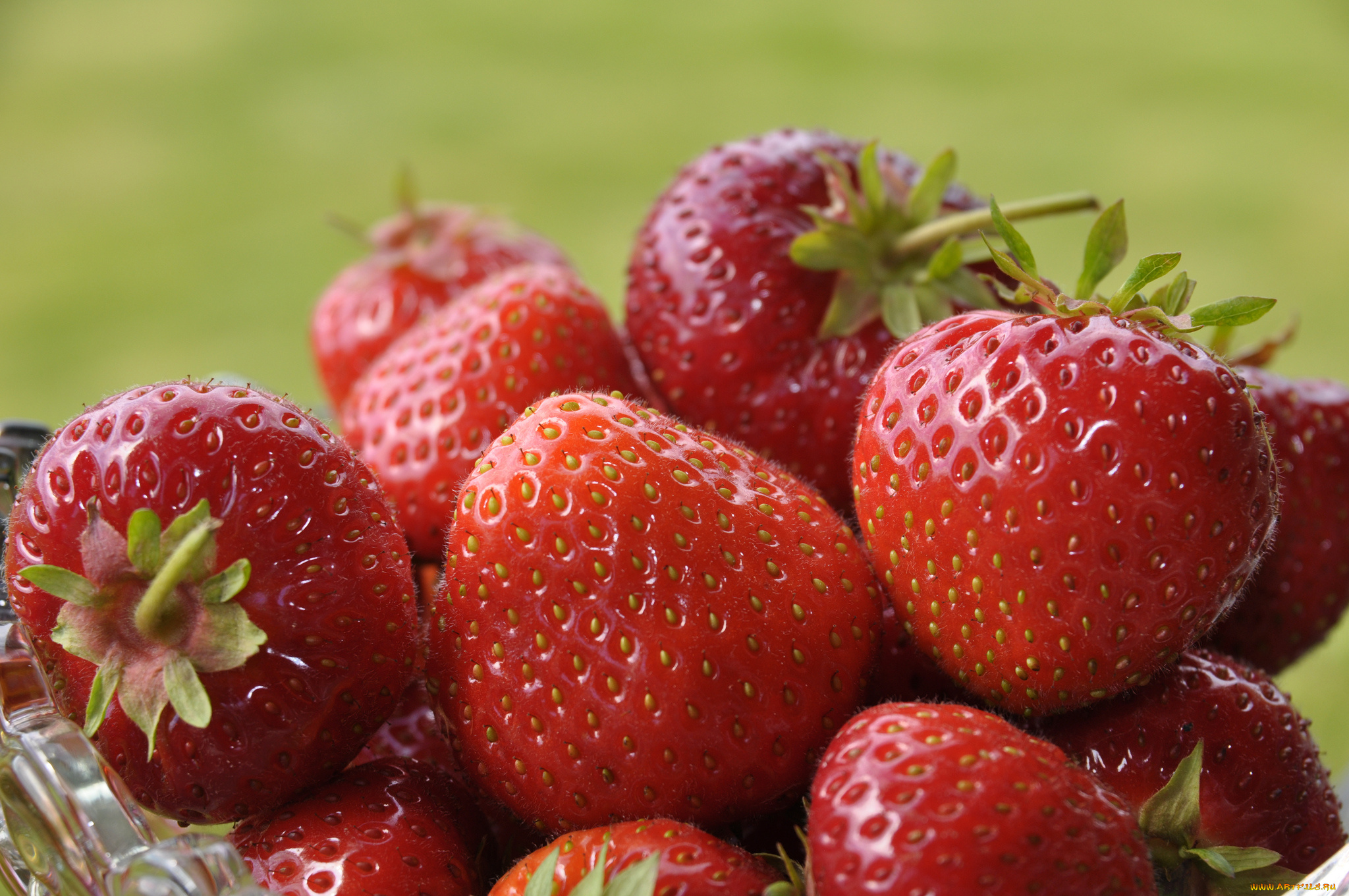 еда, клубника, земляника, ягоды