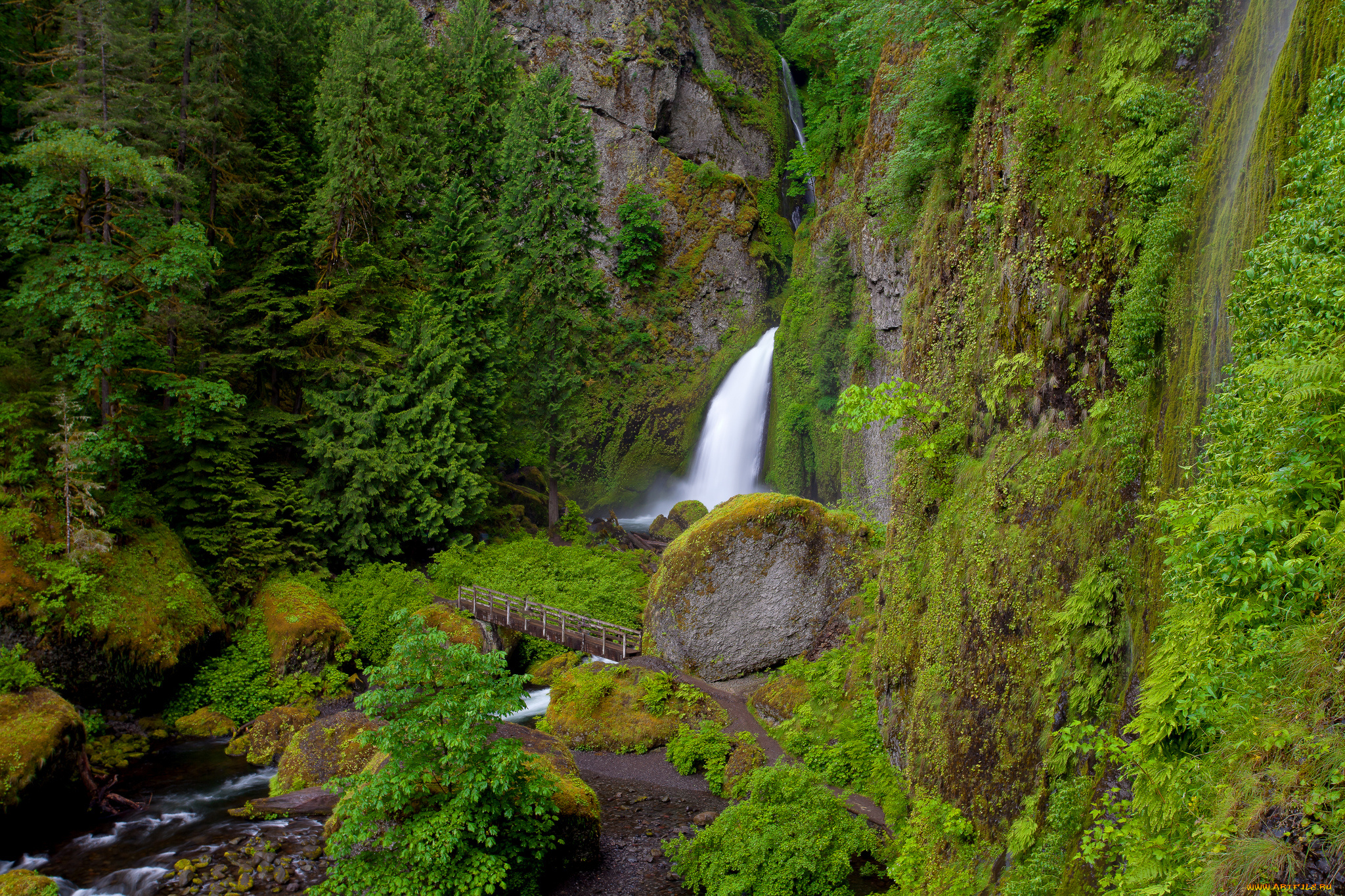 wahclella, falls, oregon, природа, водопады, скалы, река, мост, растительность