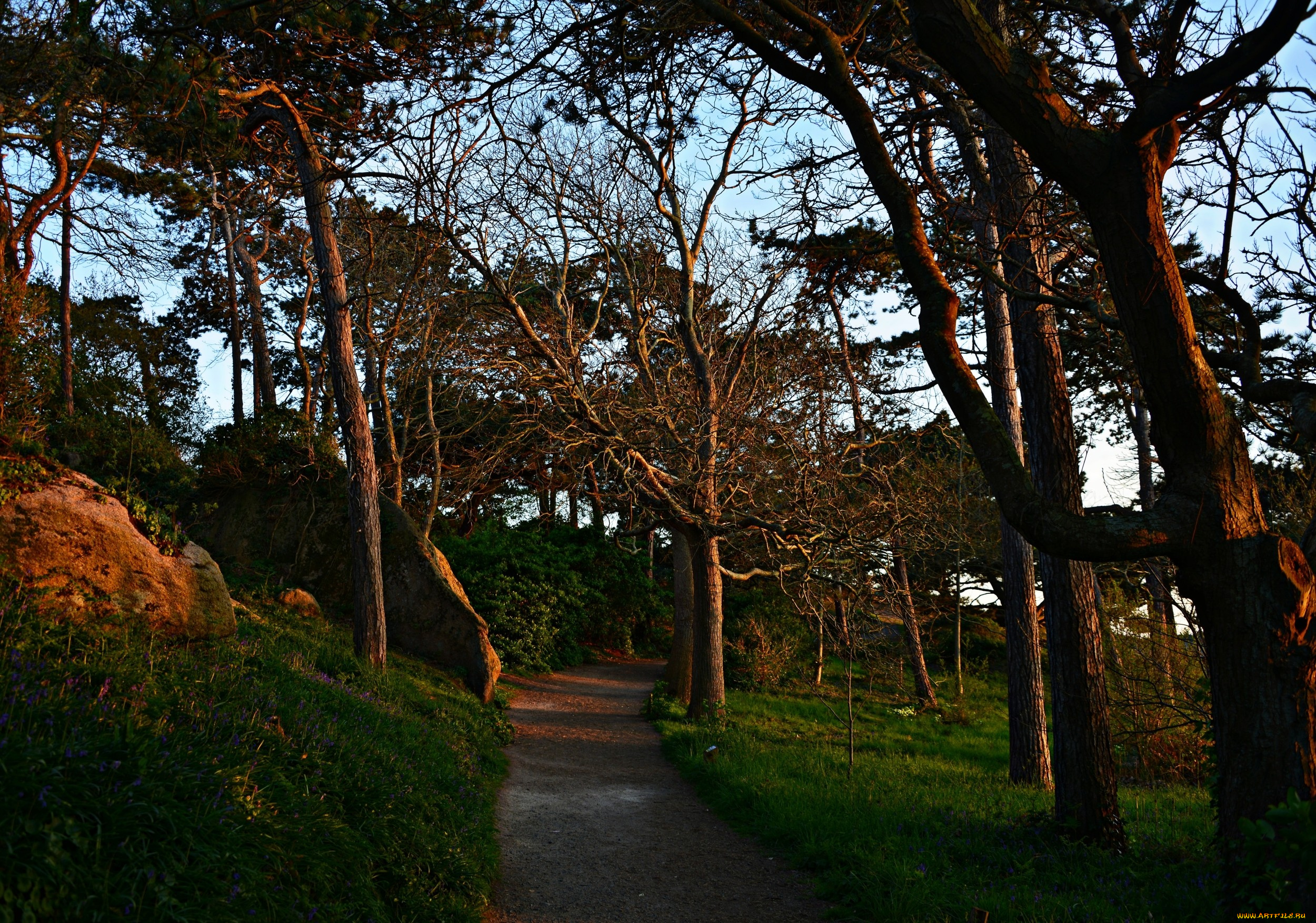 природа, дороги, трава, тропинка, деревья