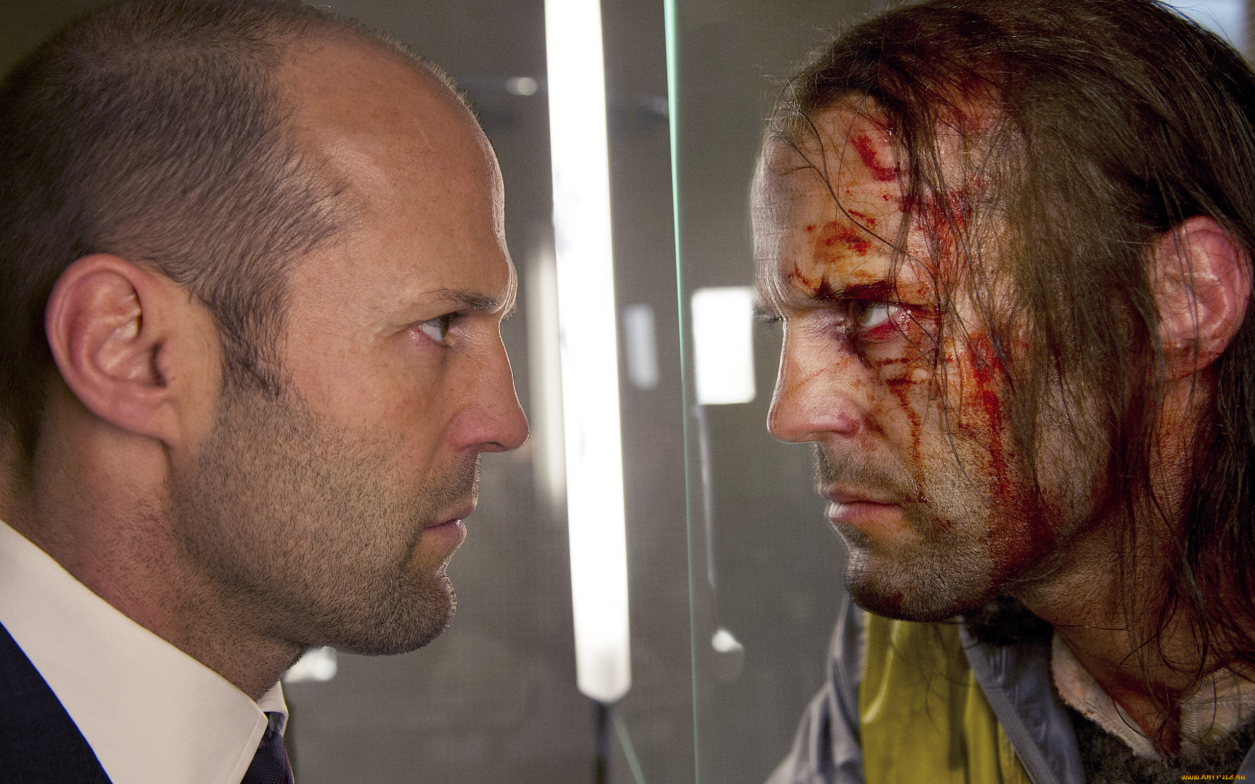 hummingbird, кино, фильмы, эффект, колибри