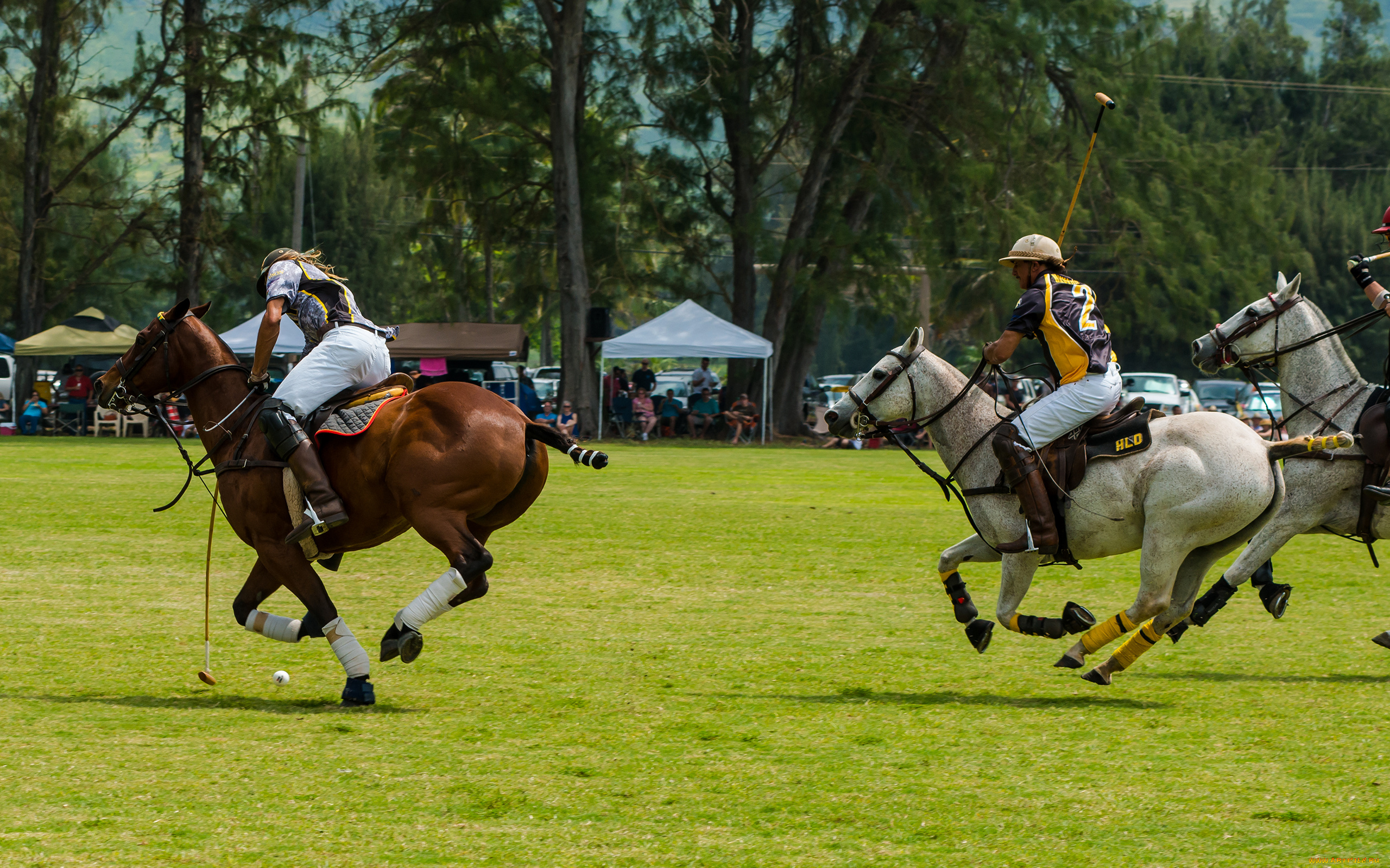 спорт, другое, поло, watanabe, yoshihiro, boku, wa, tomodachi, ga, sukunai, девушка, кимоно, узор, kashiwazaki, sena