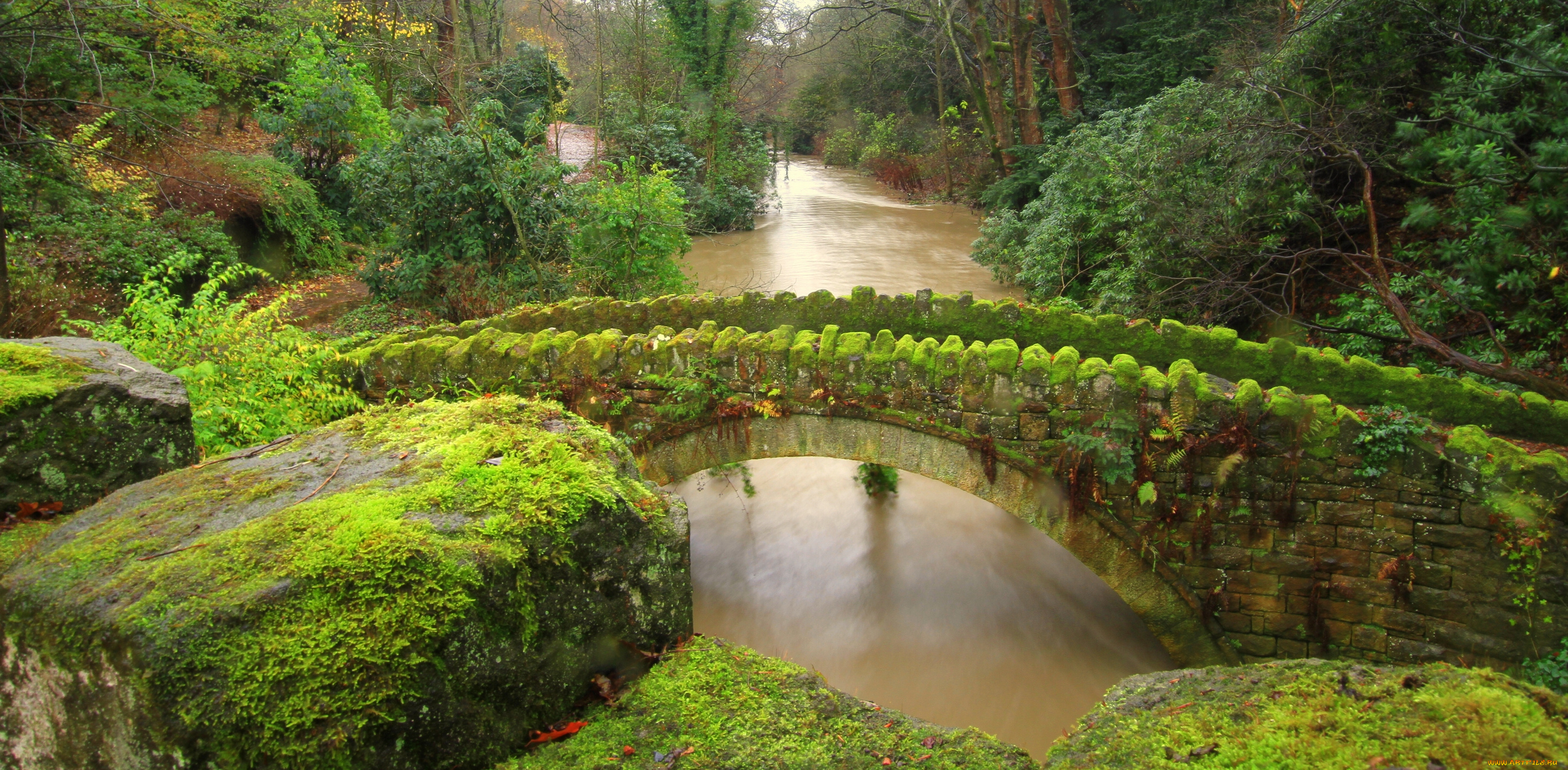 jesmond, dene, newcastle, england, природа, реки, озера, ньюкасл, англия, мост, река, камни, мох, лес, джесмонд, дене