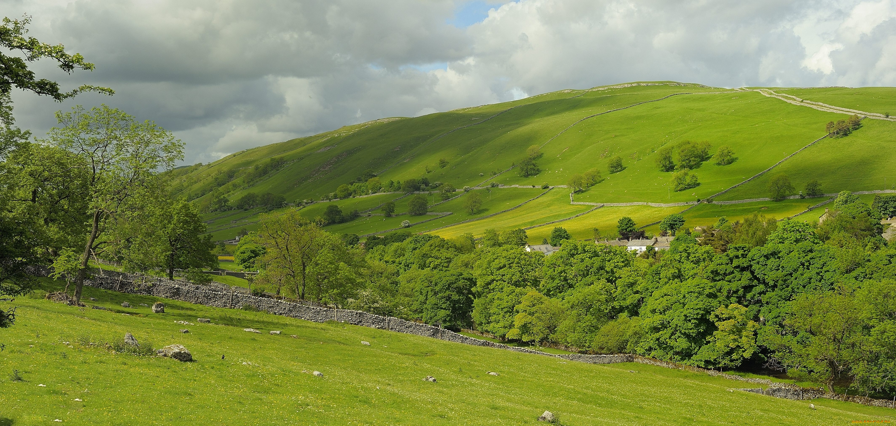 kettlewell, england, природа, поля, англия, деревья, пастбище, пейзаж
