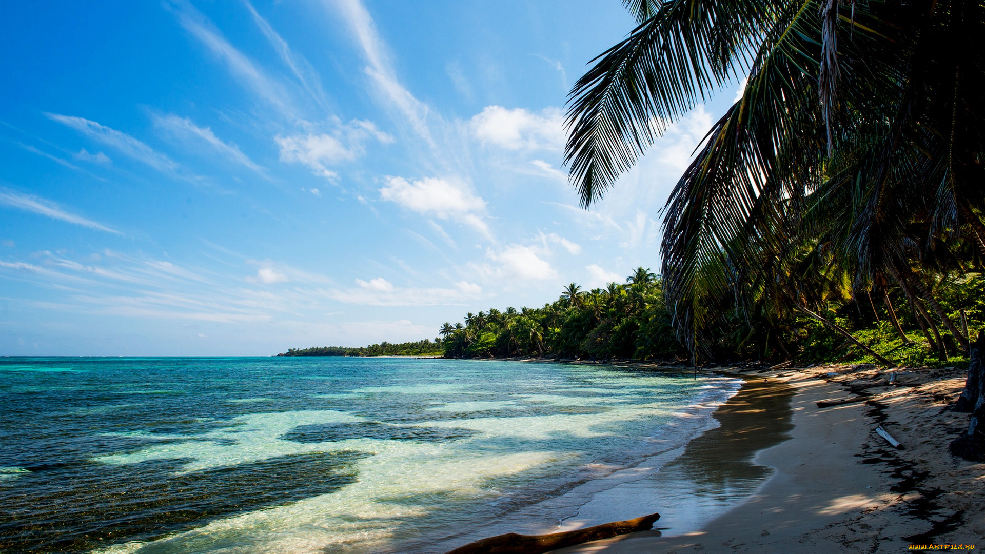 природа, тропики, море, пляж, песок, пальмы