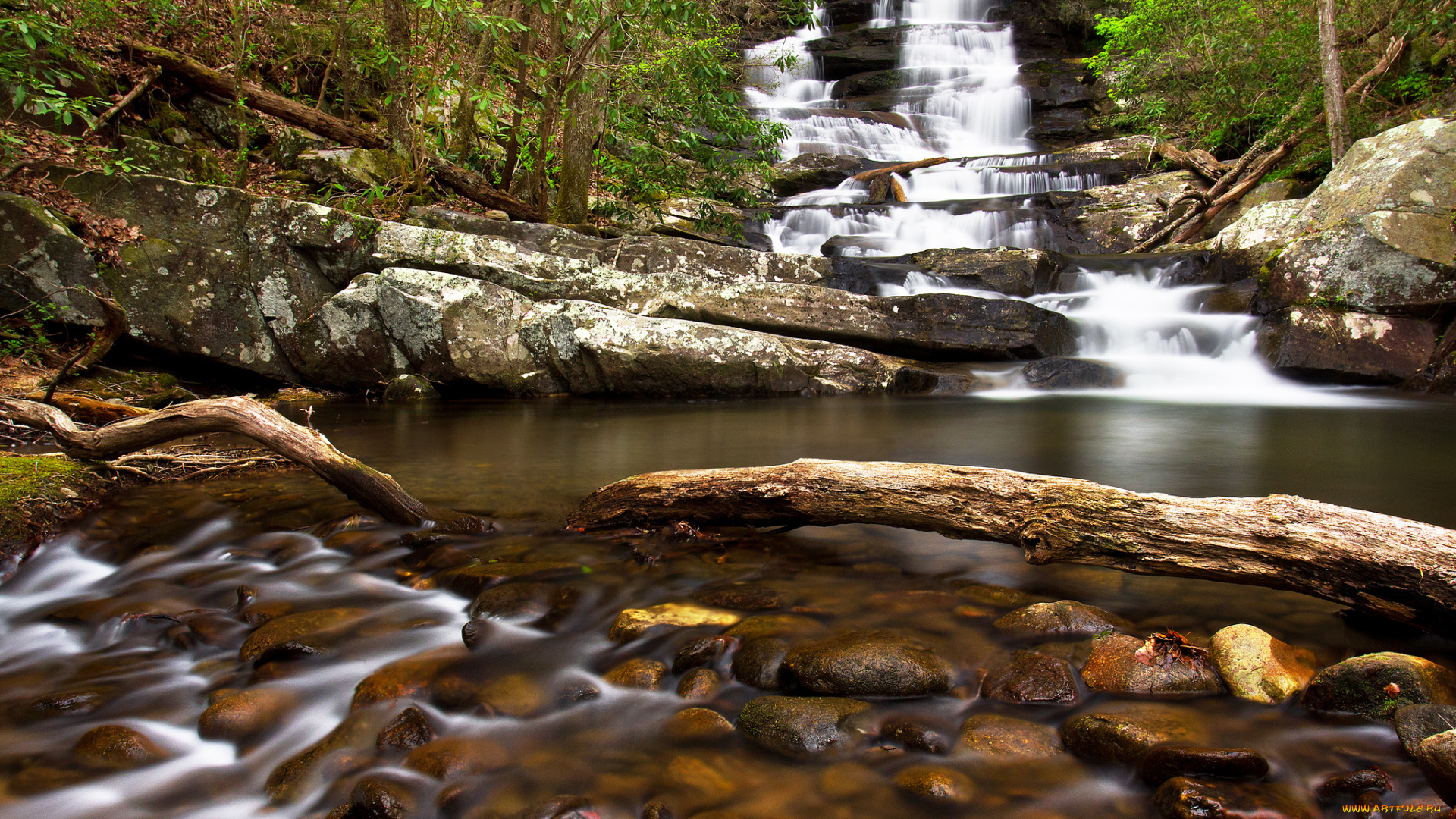 природа, водопады, река, водопад, лес