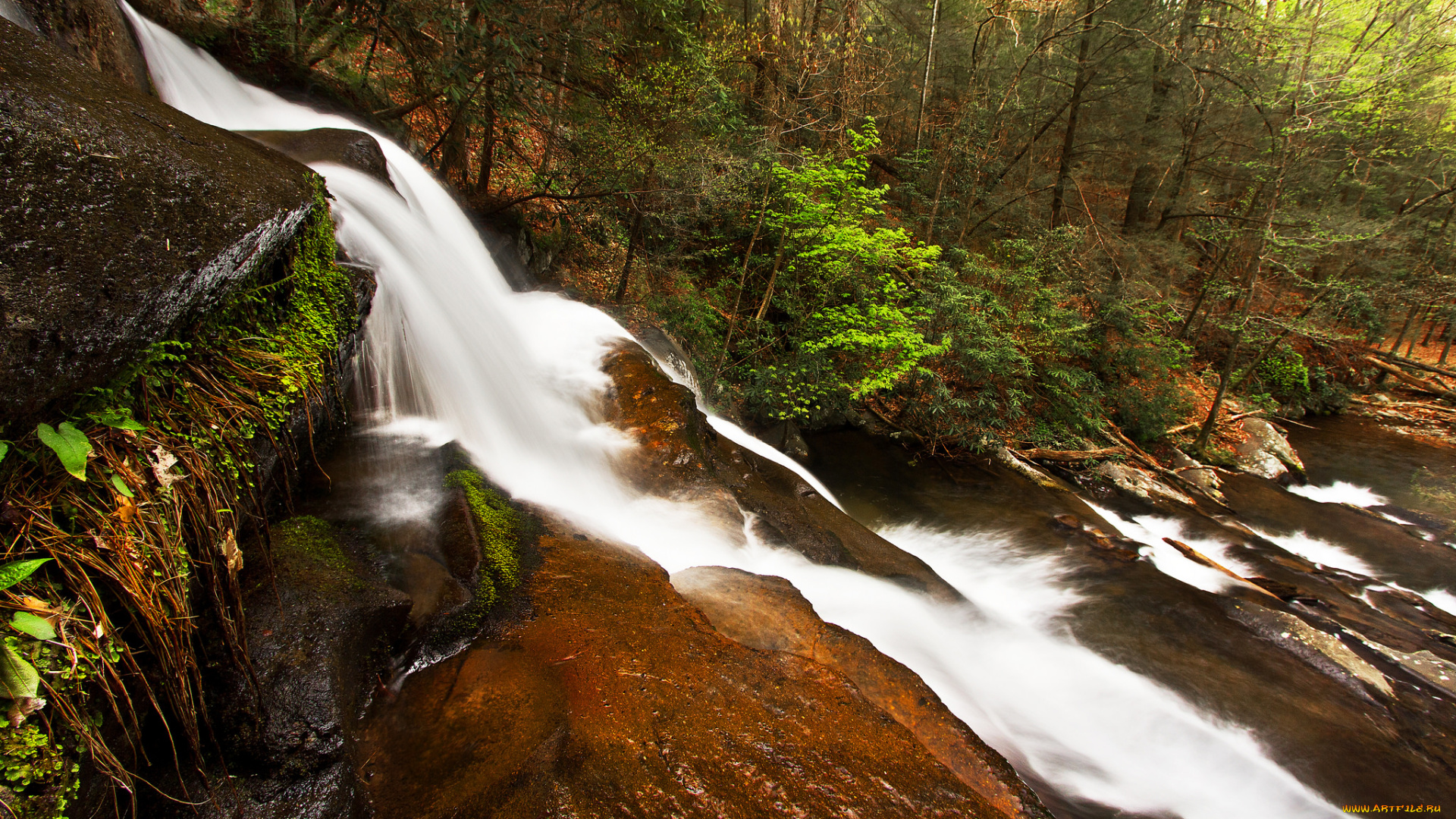 природа, водопады, река, водопад, лес
