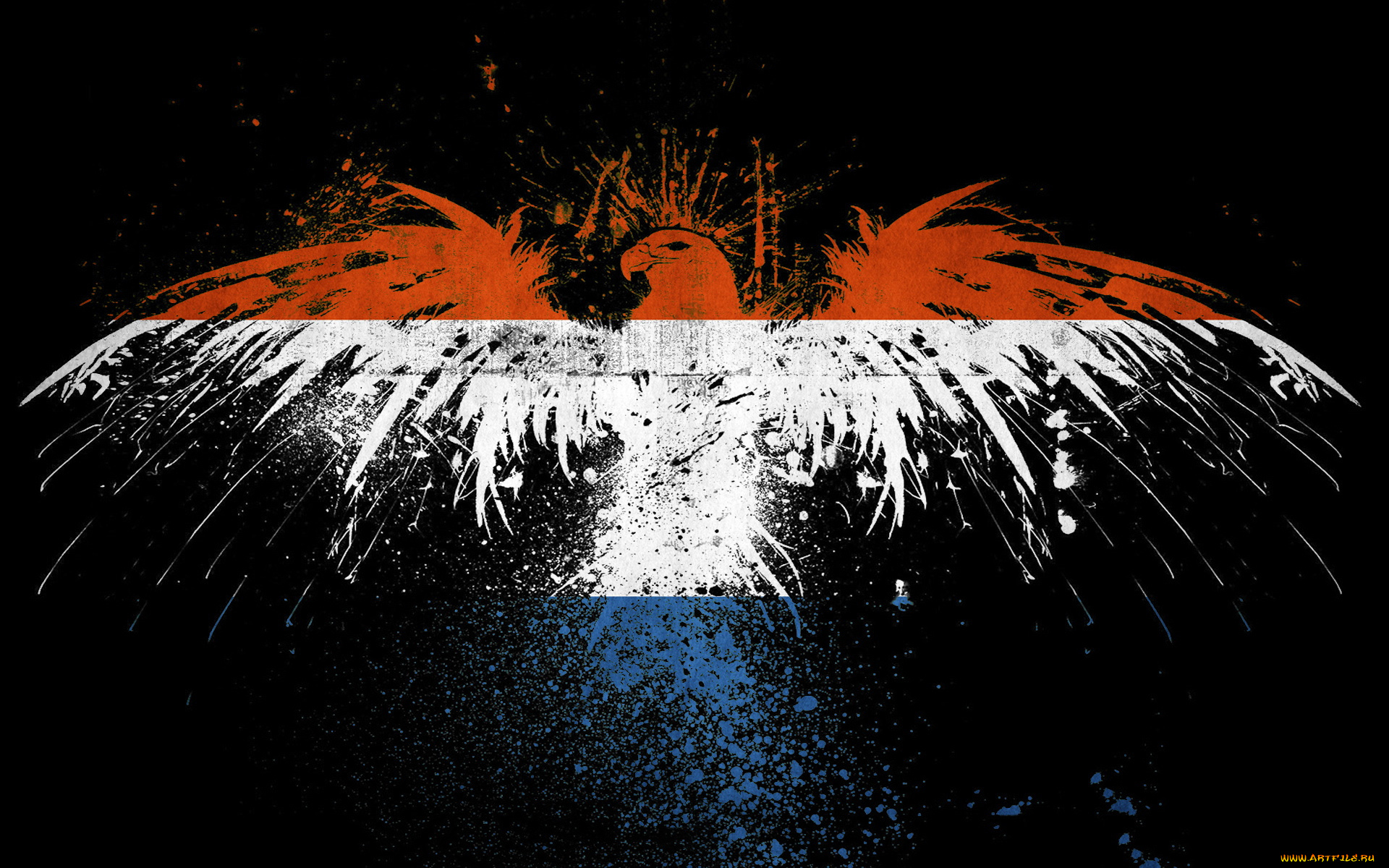 разное, граффити, фон, орел