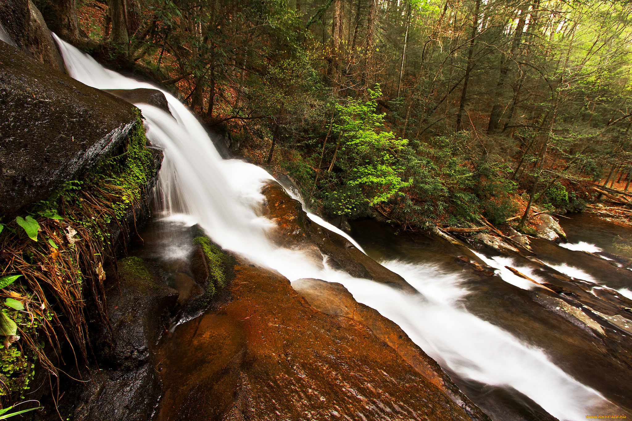 природа, водопады, река, водопад, лес