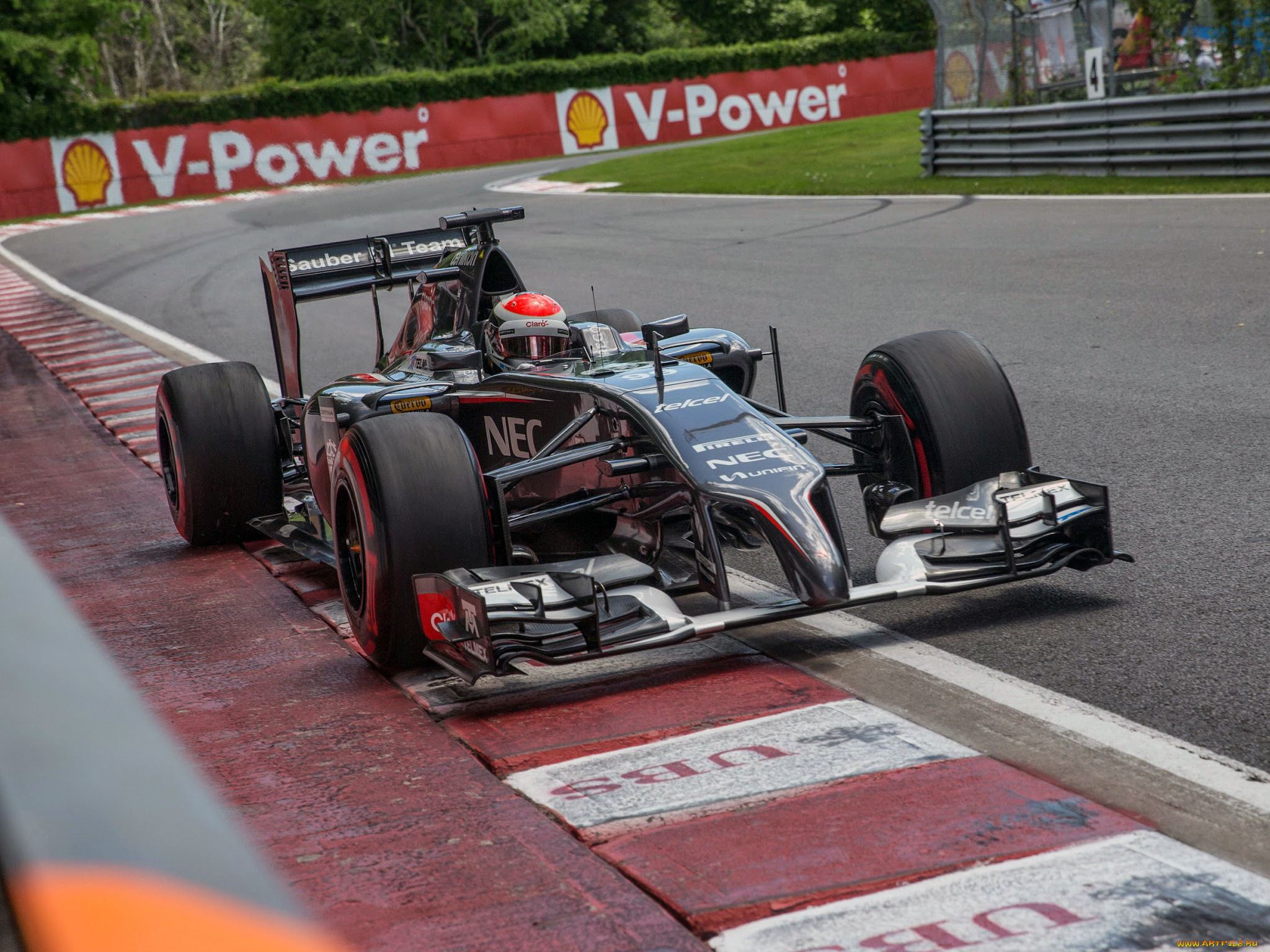 спорт, формула, 1, скорость, гонка, 2014г, c33, sauber
