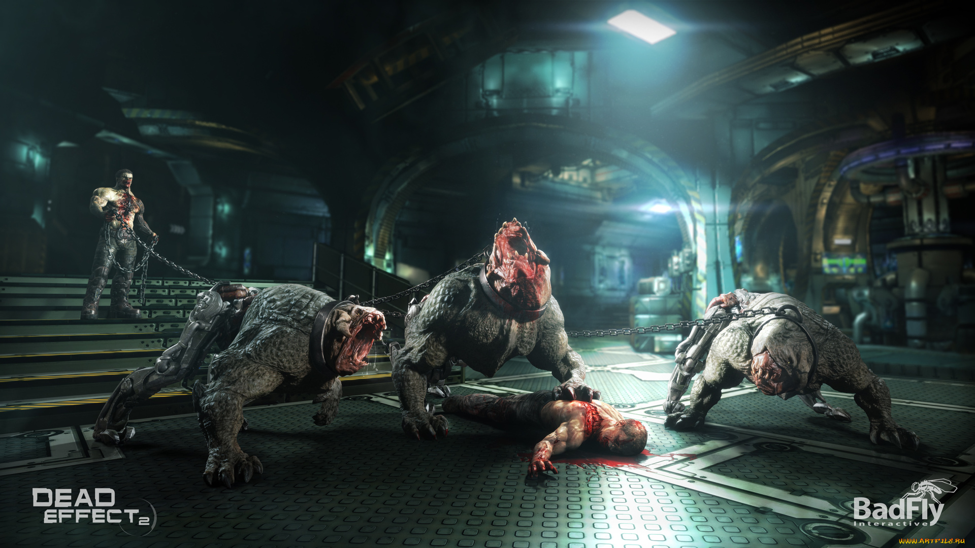 dead, effect, 2, видео, игры, dead, effect, 2, шутер, action