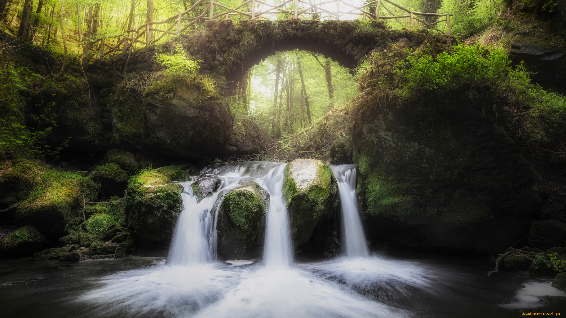 природа, реки, озера, ручей, лес, мостик, весна, река, потоки