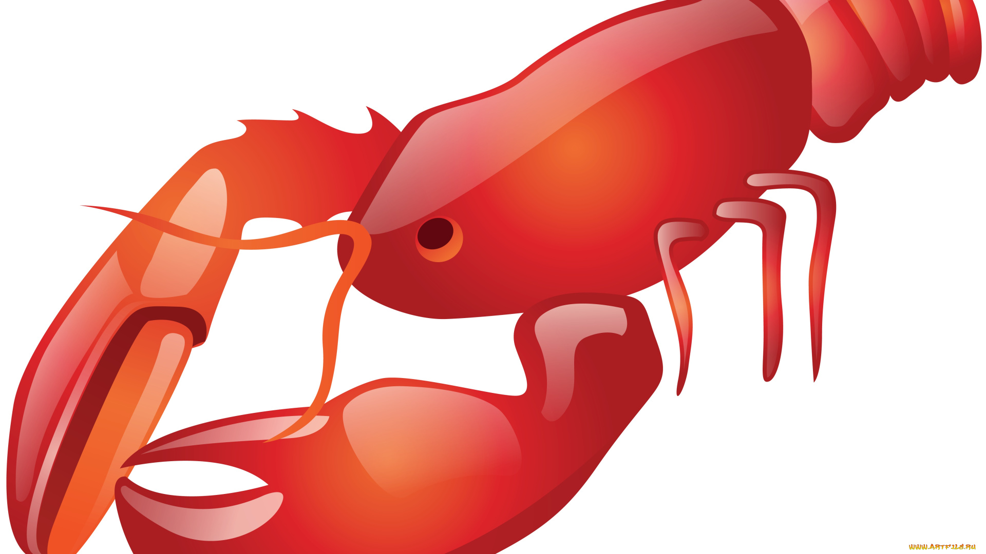 векторная, графика, животные, , animals, омар