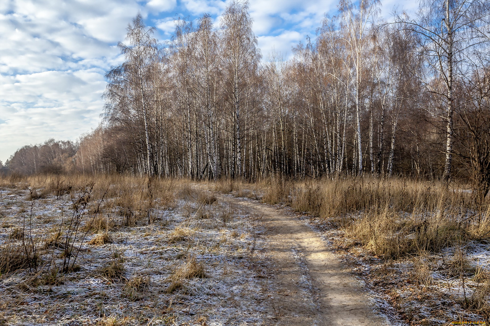 природа, дороги, берёзы, иней