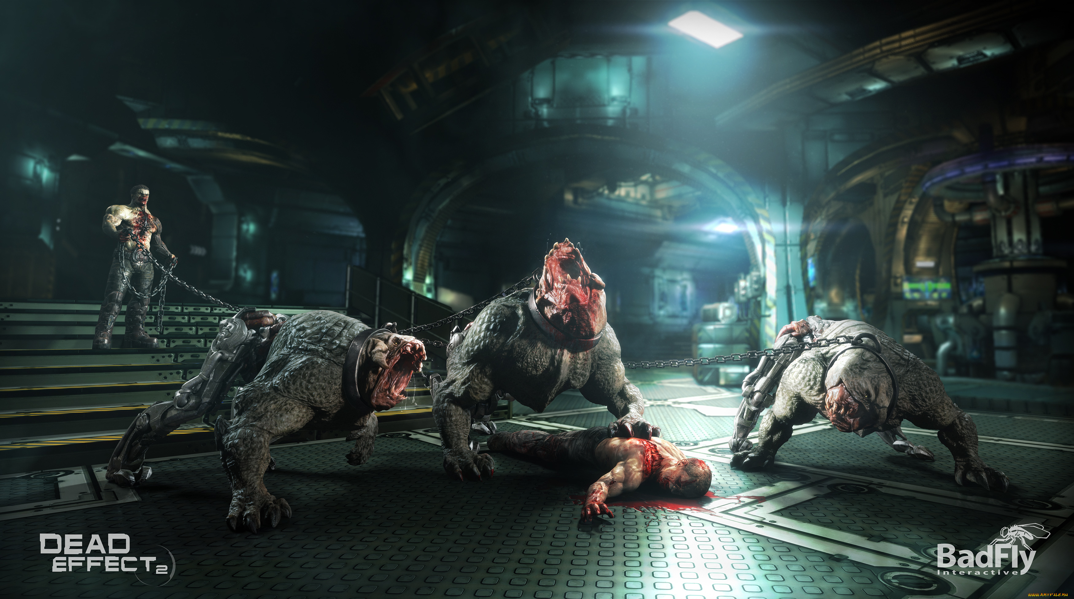 dead, effect, 2, видео, игры, dead, effect, 2, шутер, action