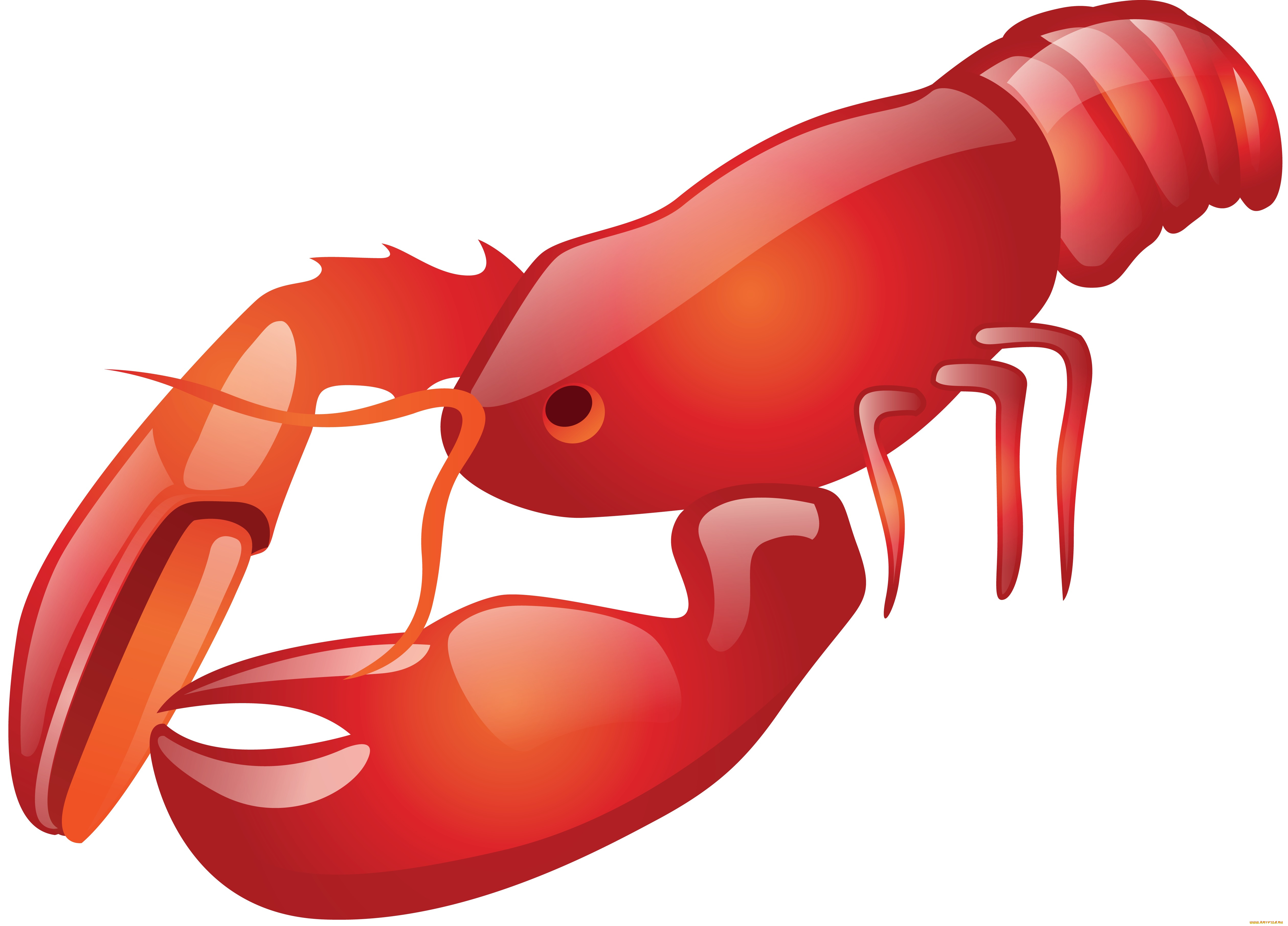 векторная, графика, животные, , animals, омар