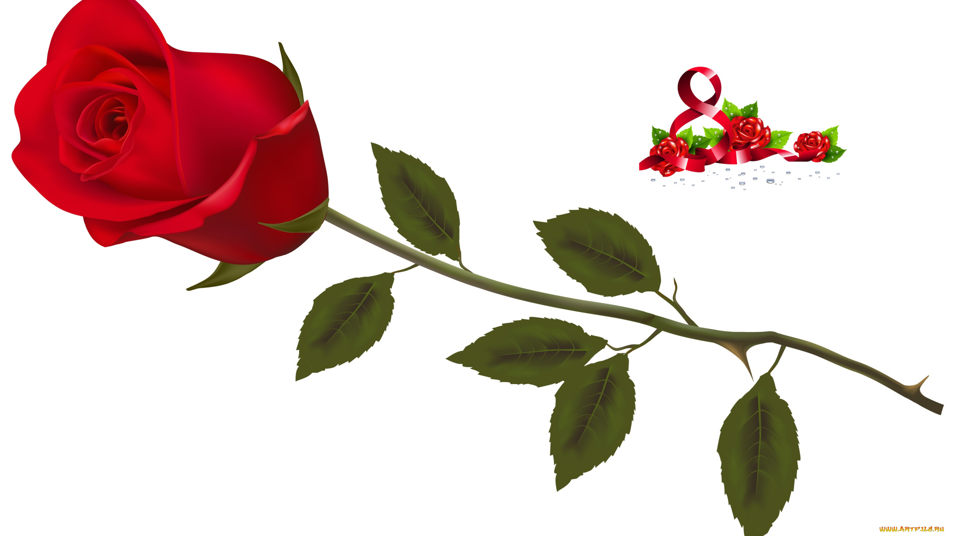 праздничные, международный, женский, день, -, 8, марта, фон, цветы, роза