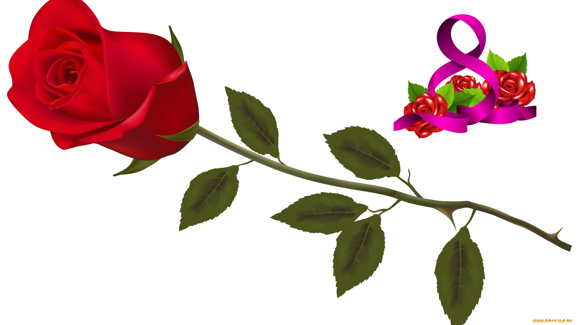 праздничные, международный, женский, день, -, 8, марта, фон, цветы, роза