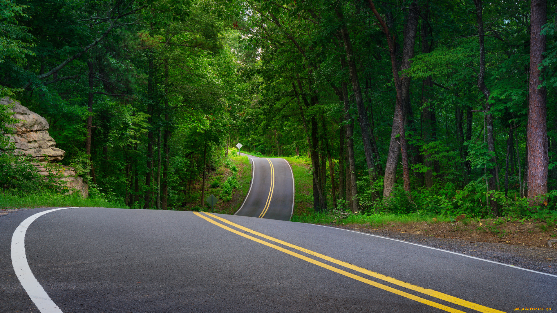 природа, дороги, рекатракт, лес