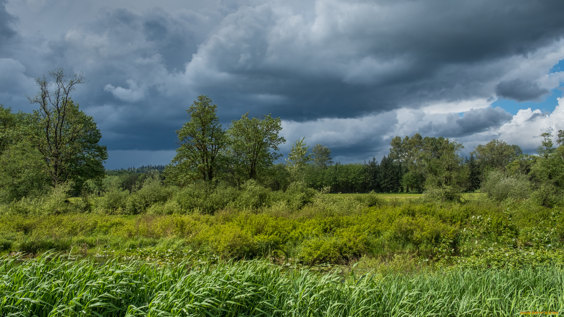 природа, пейзажи, простор