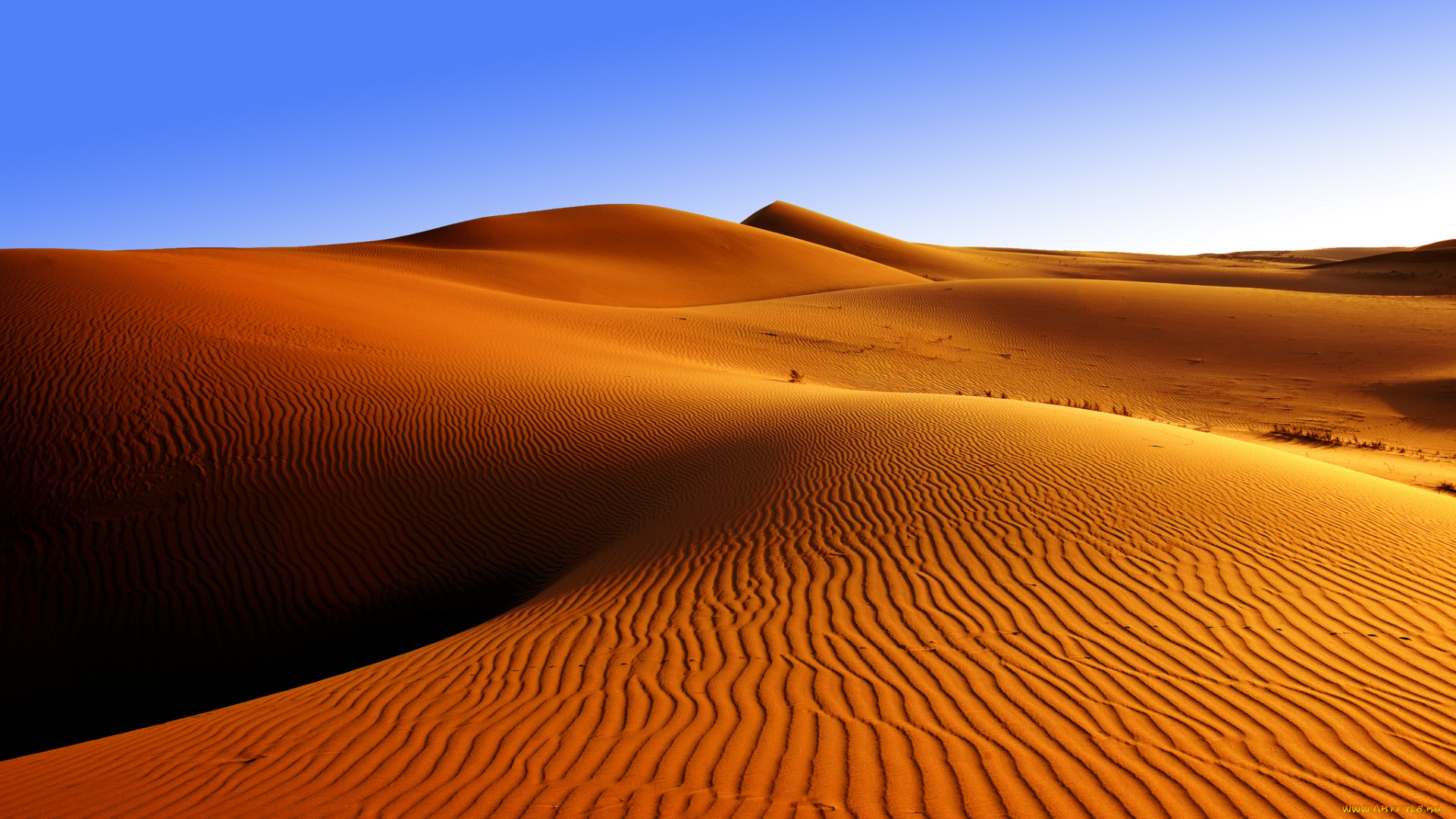 природа, пустыни, пески