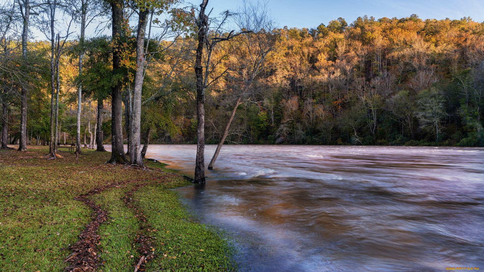 природа, реки, озера, лес, река