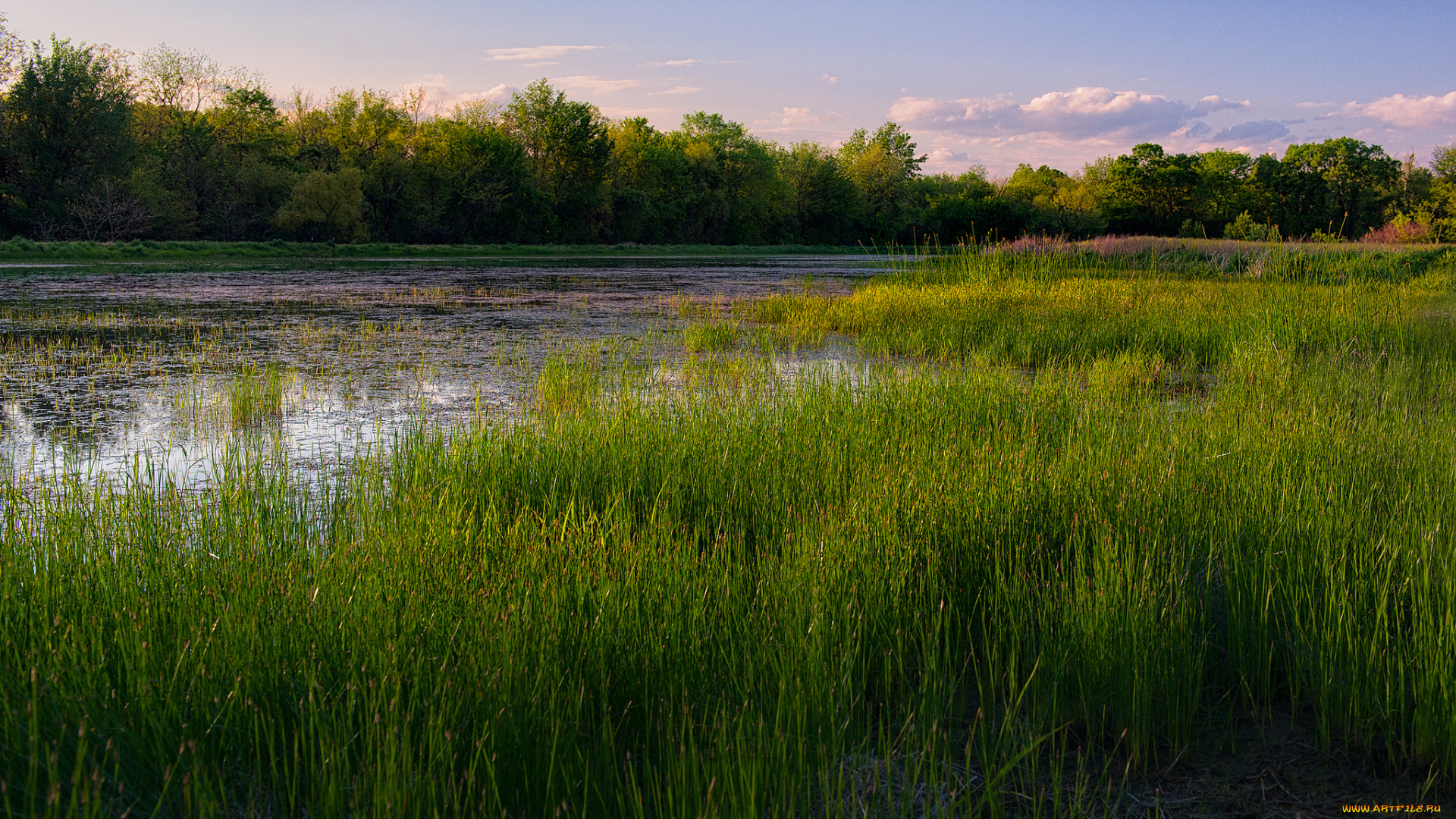 природа, реки, озера, река, лес