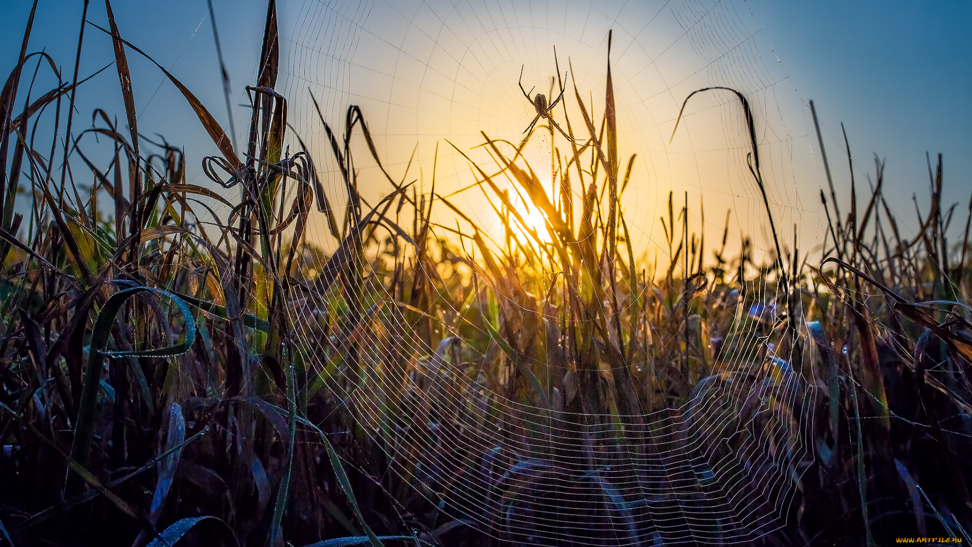 природа, восходы, закаты, рассвет