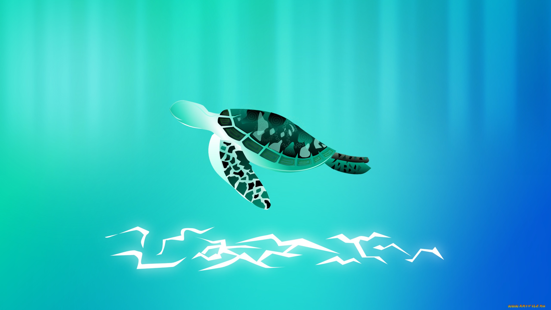 векторная, графика, животные, , animals, черепаха