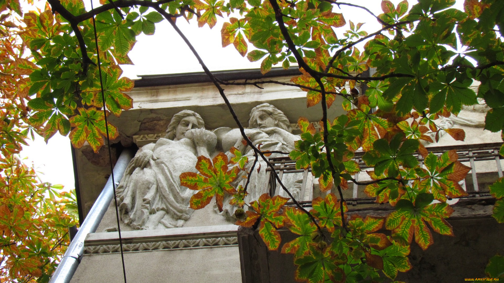 воронеж, города, -, здания, , дома, здание