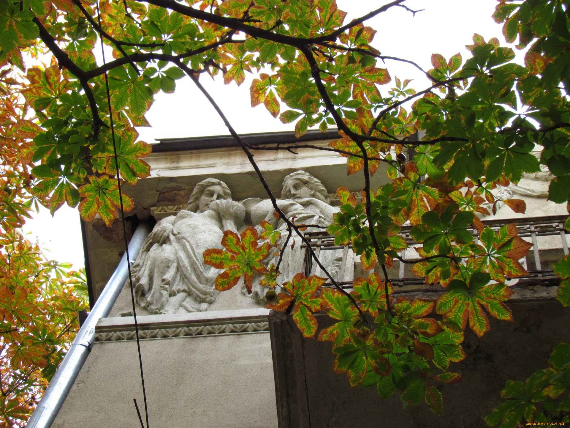 воронеж, города, -, здания, , дома, здание