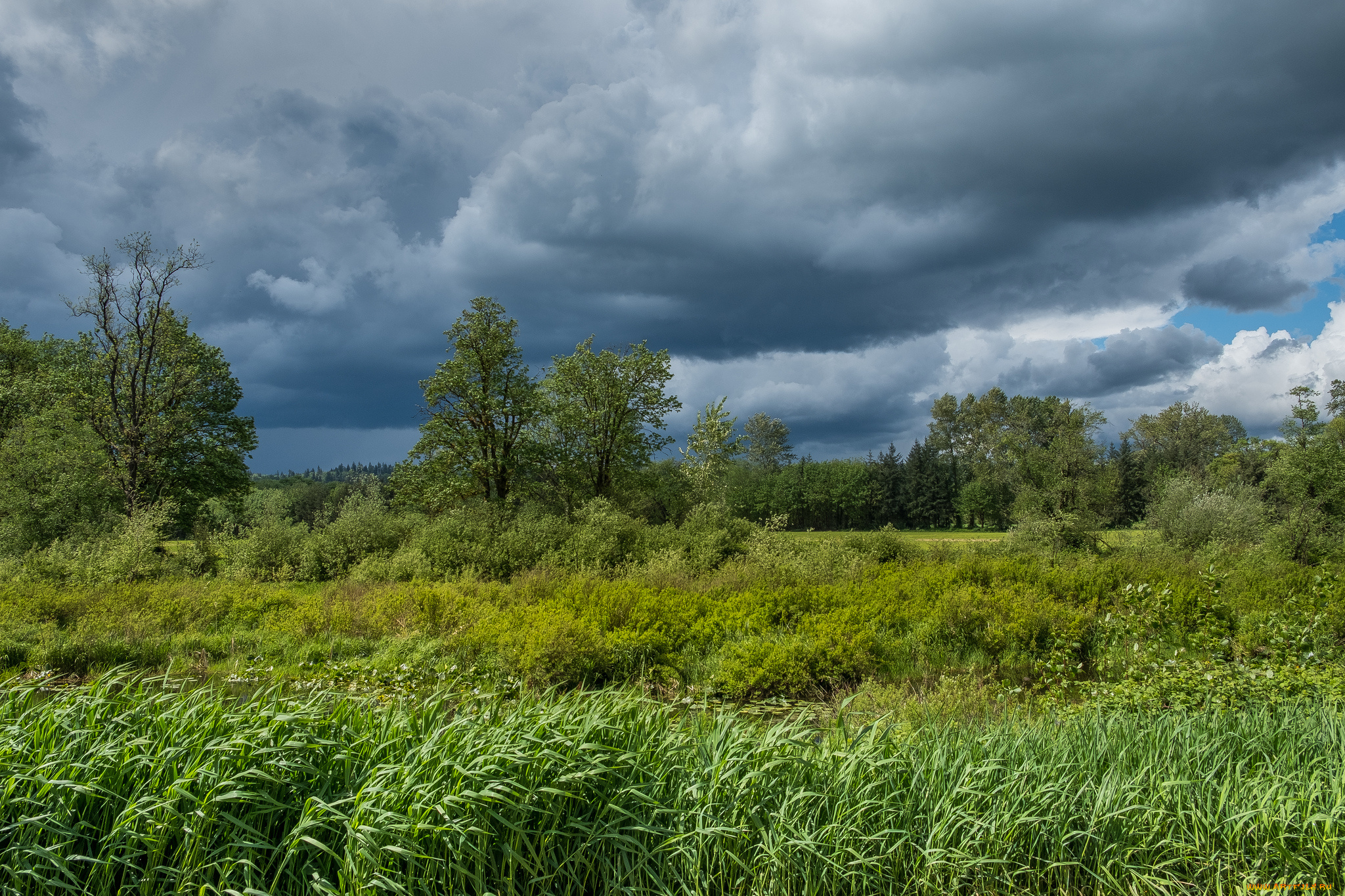 природа, пейзажи, простор