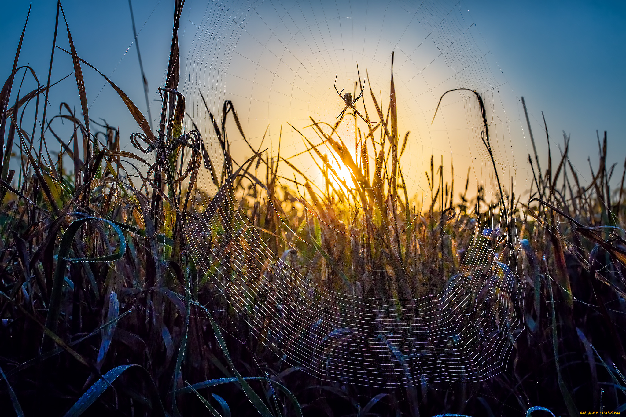 природа, восходы, закаты, рассвет