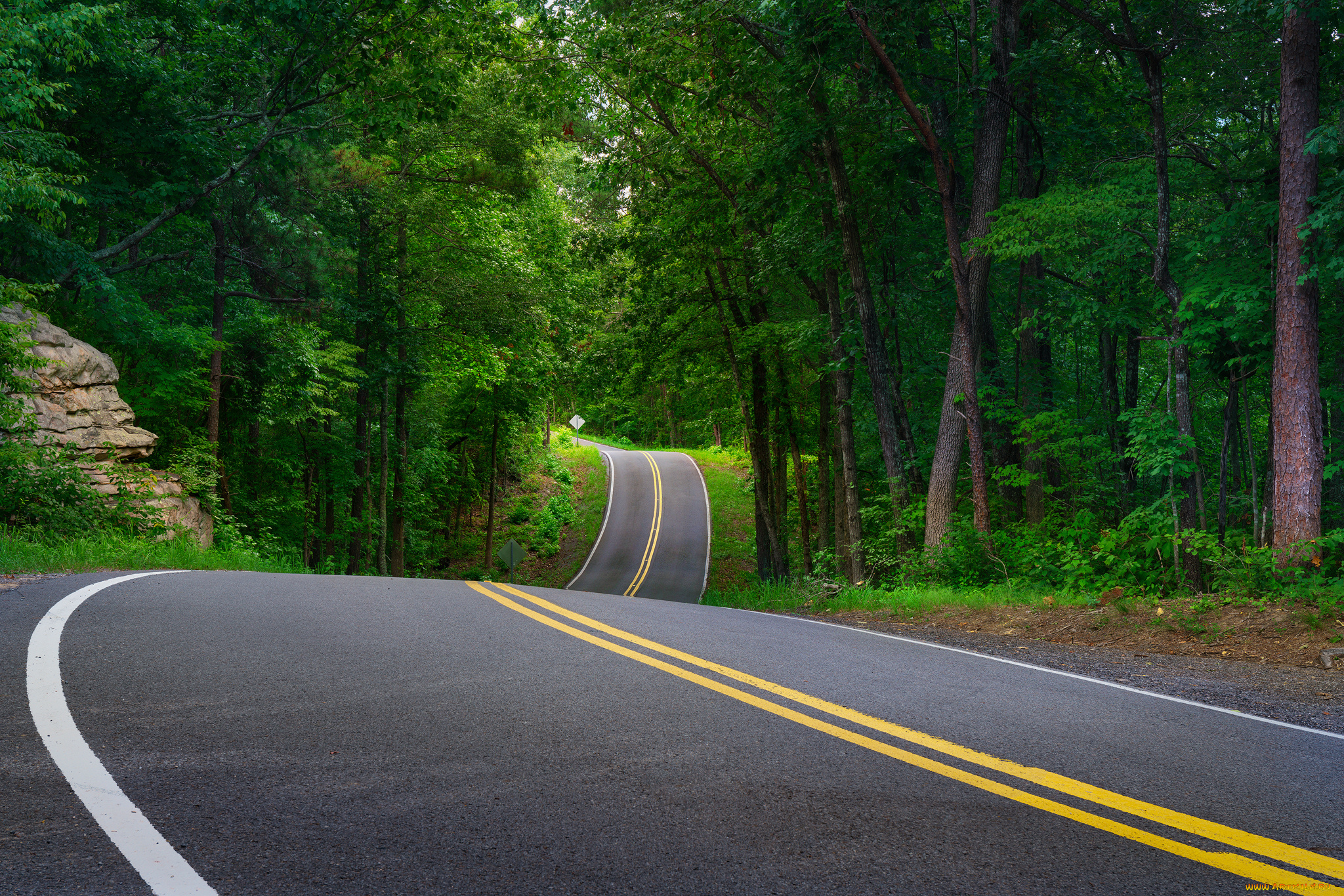 природа, дороги, рекатракт, лес