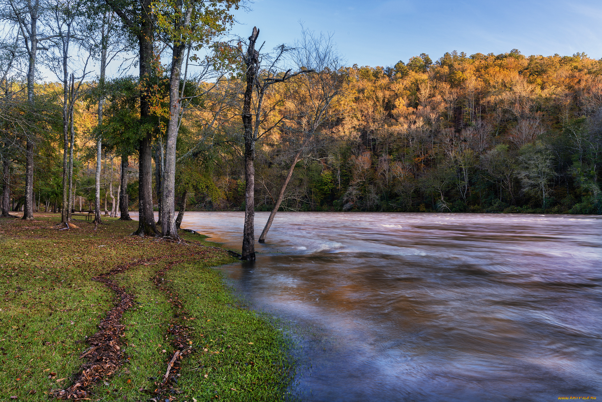 природа, реки, озера, лес, река