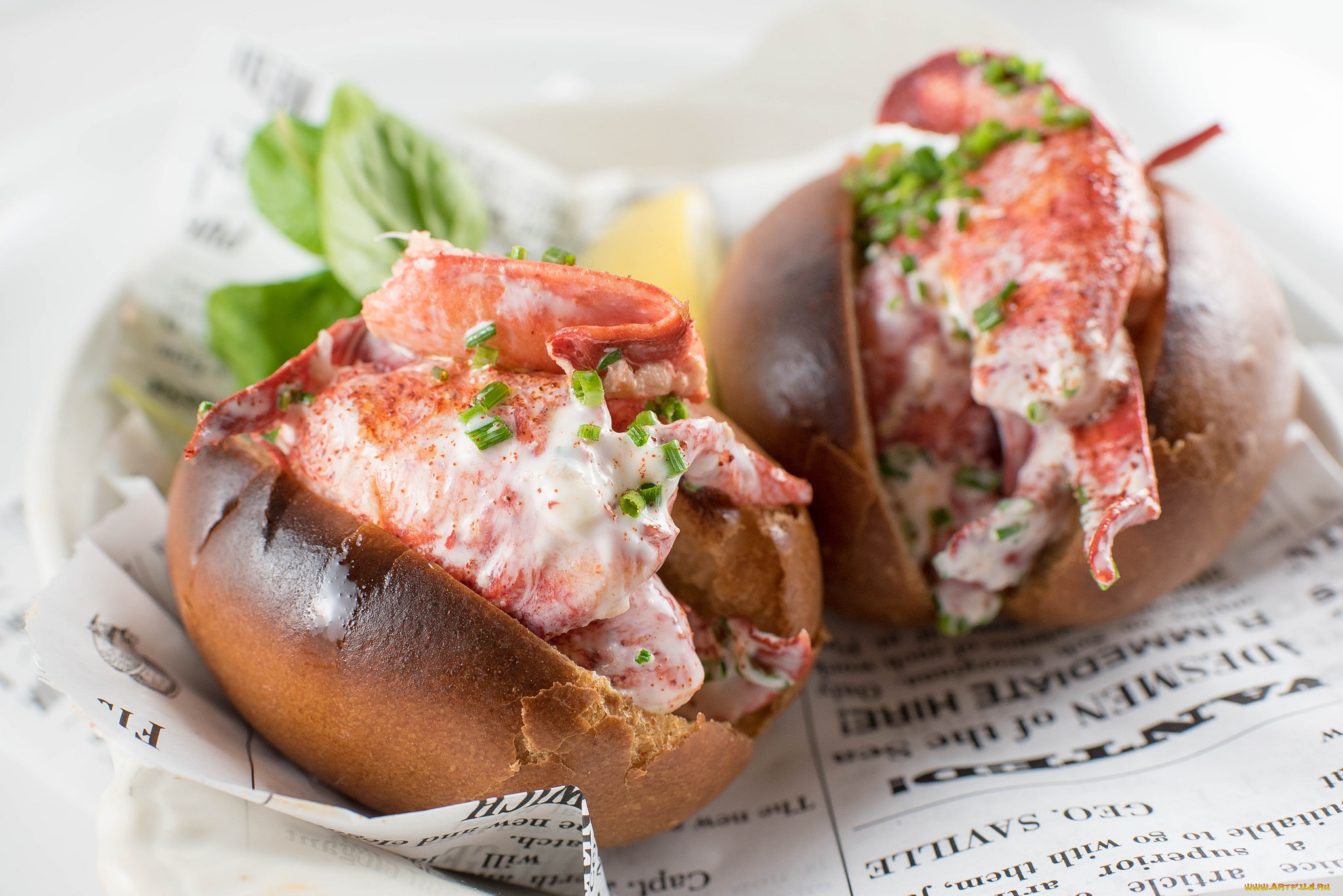 еда, бутерброды, , гамбургеры, , канапе, бутер