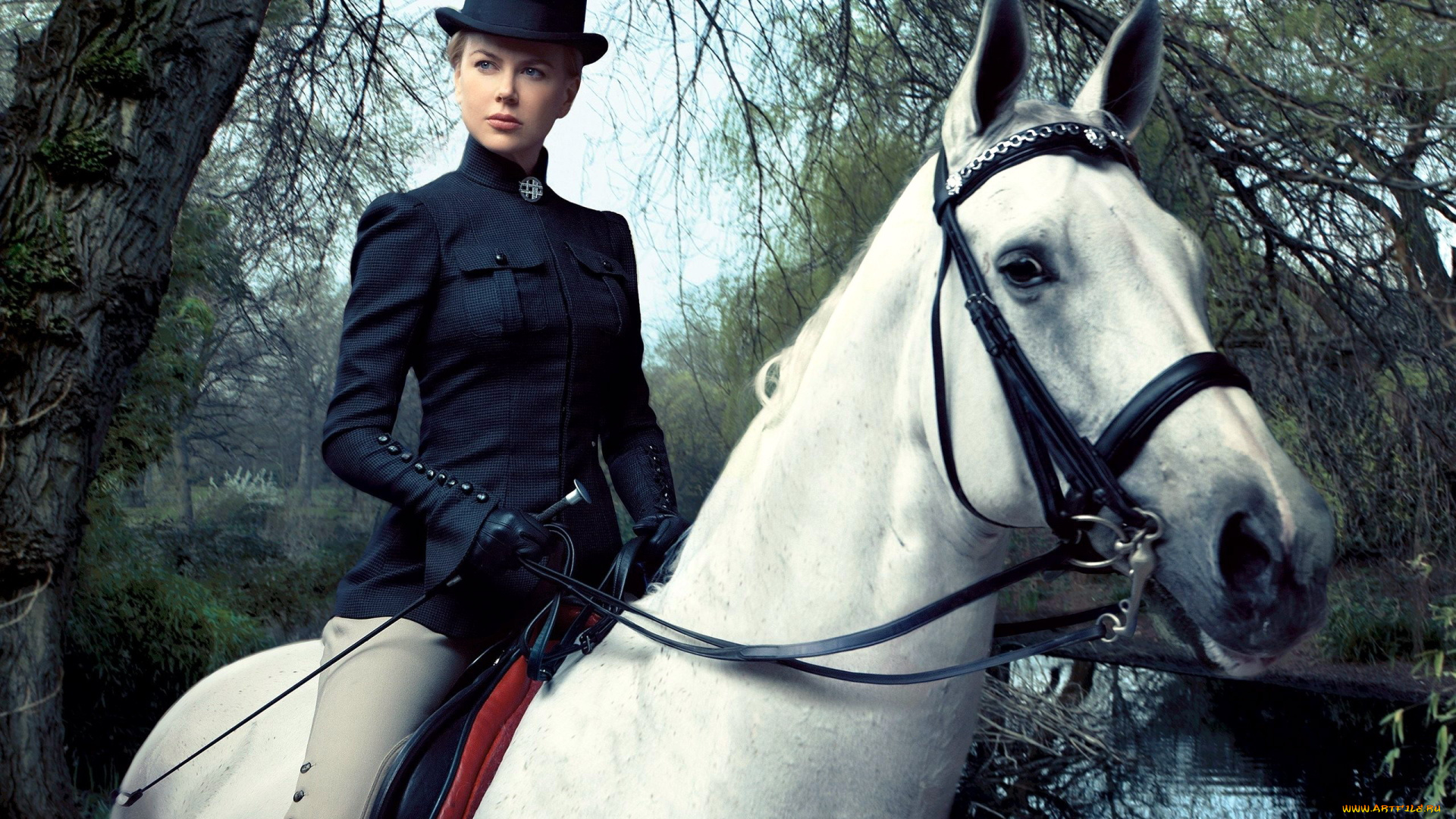 the, beguiled, кино, фильмы, the, beguiled