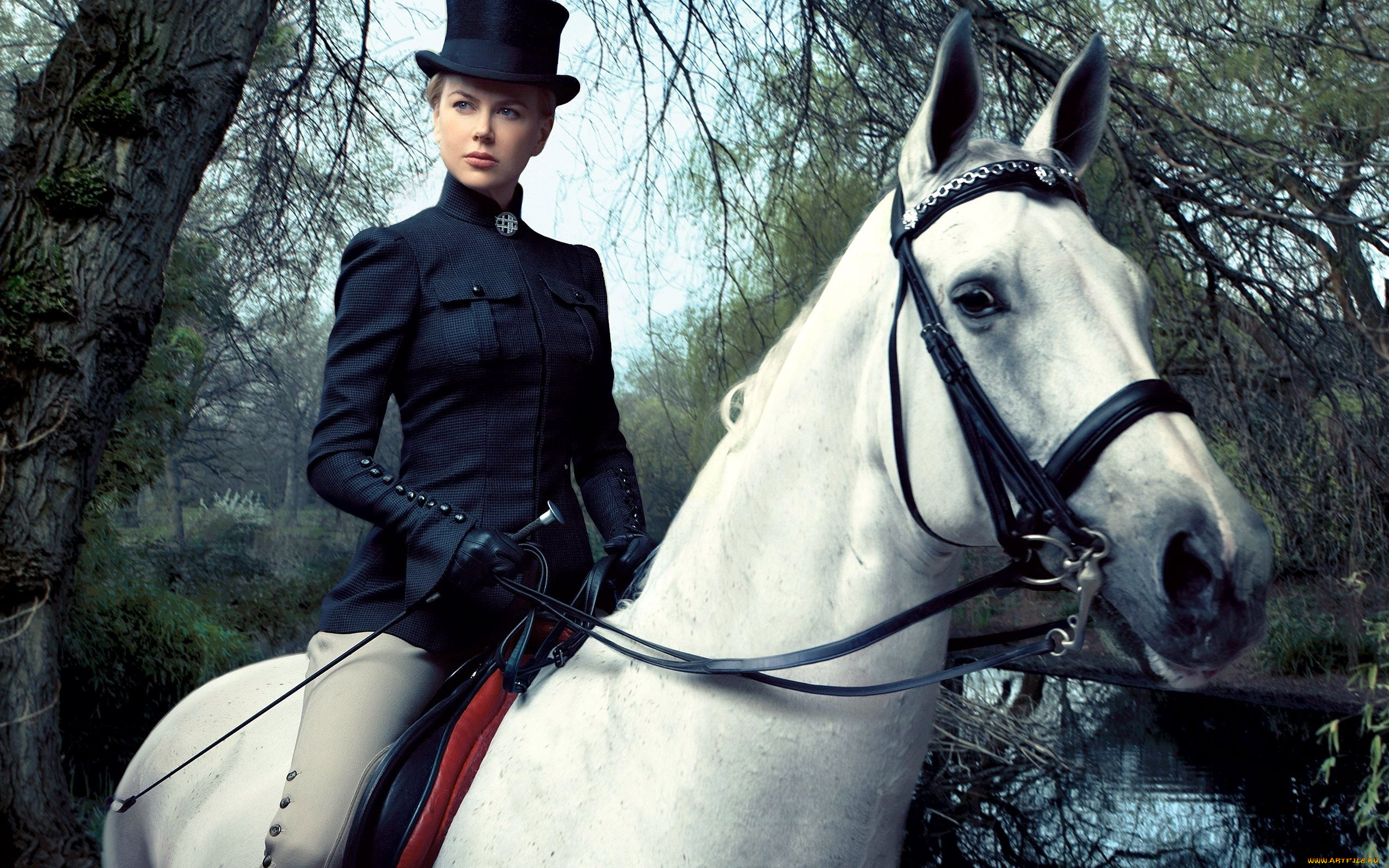 the, beguiled, кино, фильмы, the, beguiled