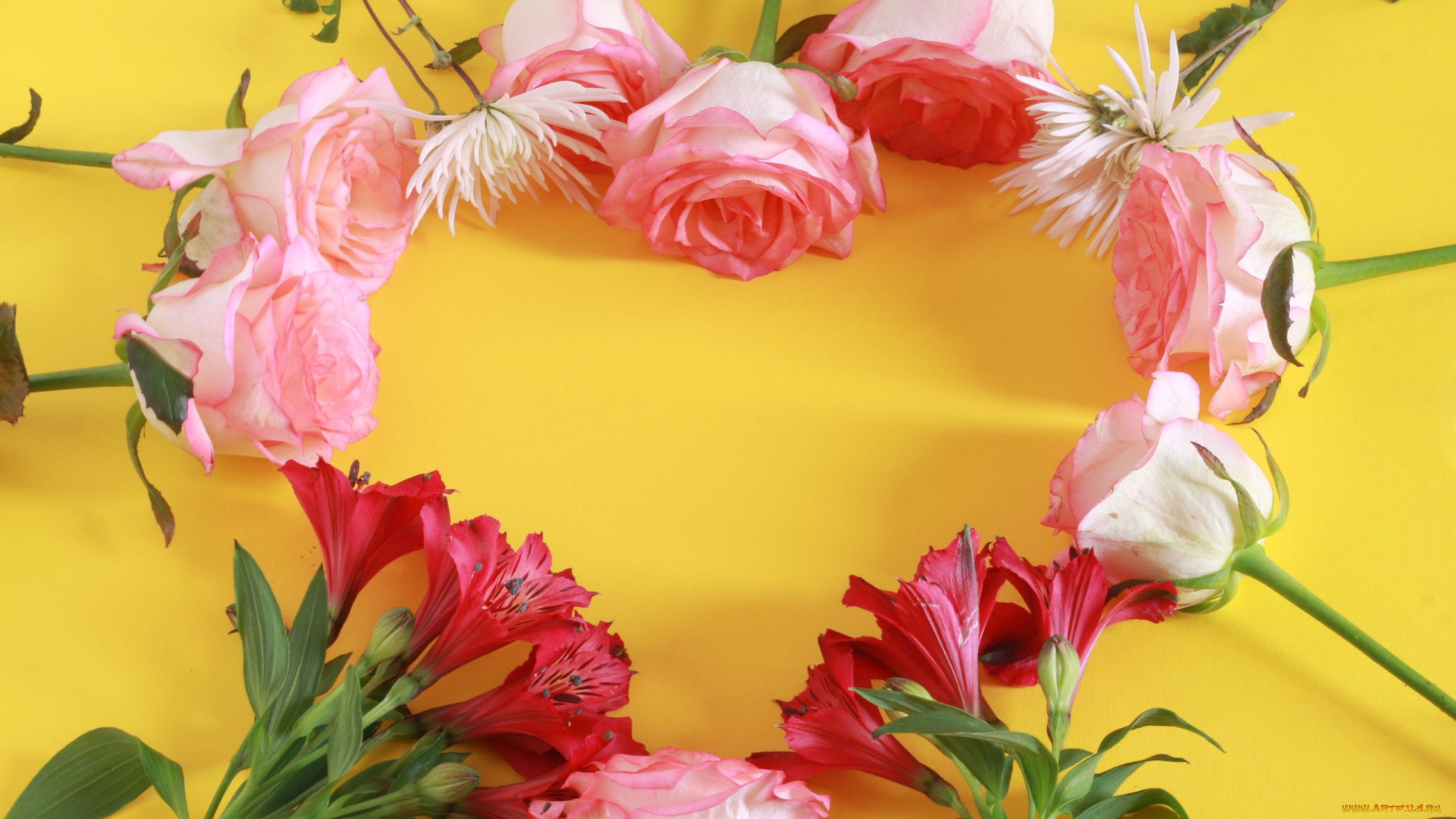 цветы, разные, вместе, розы, альстромерия