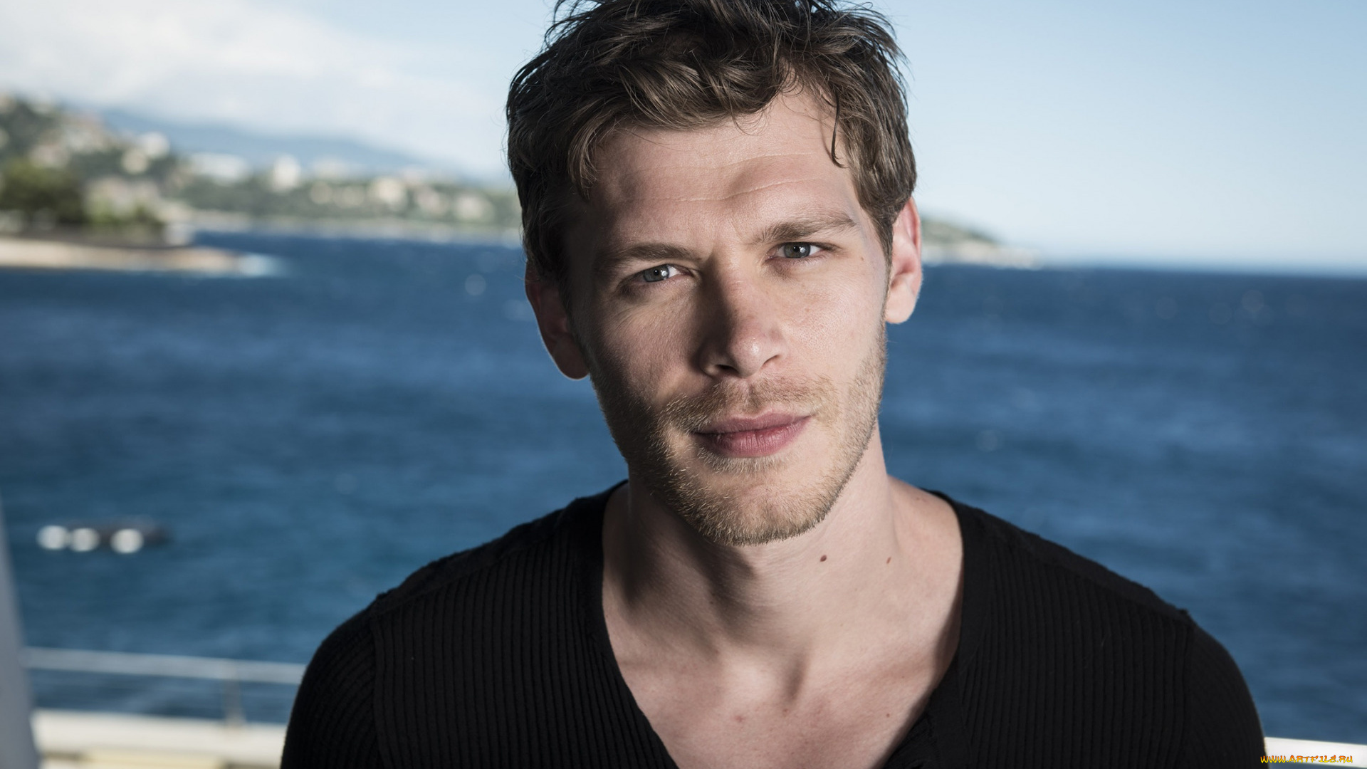 мужчины, joseph, morgan, joseph, morgan