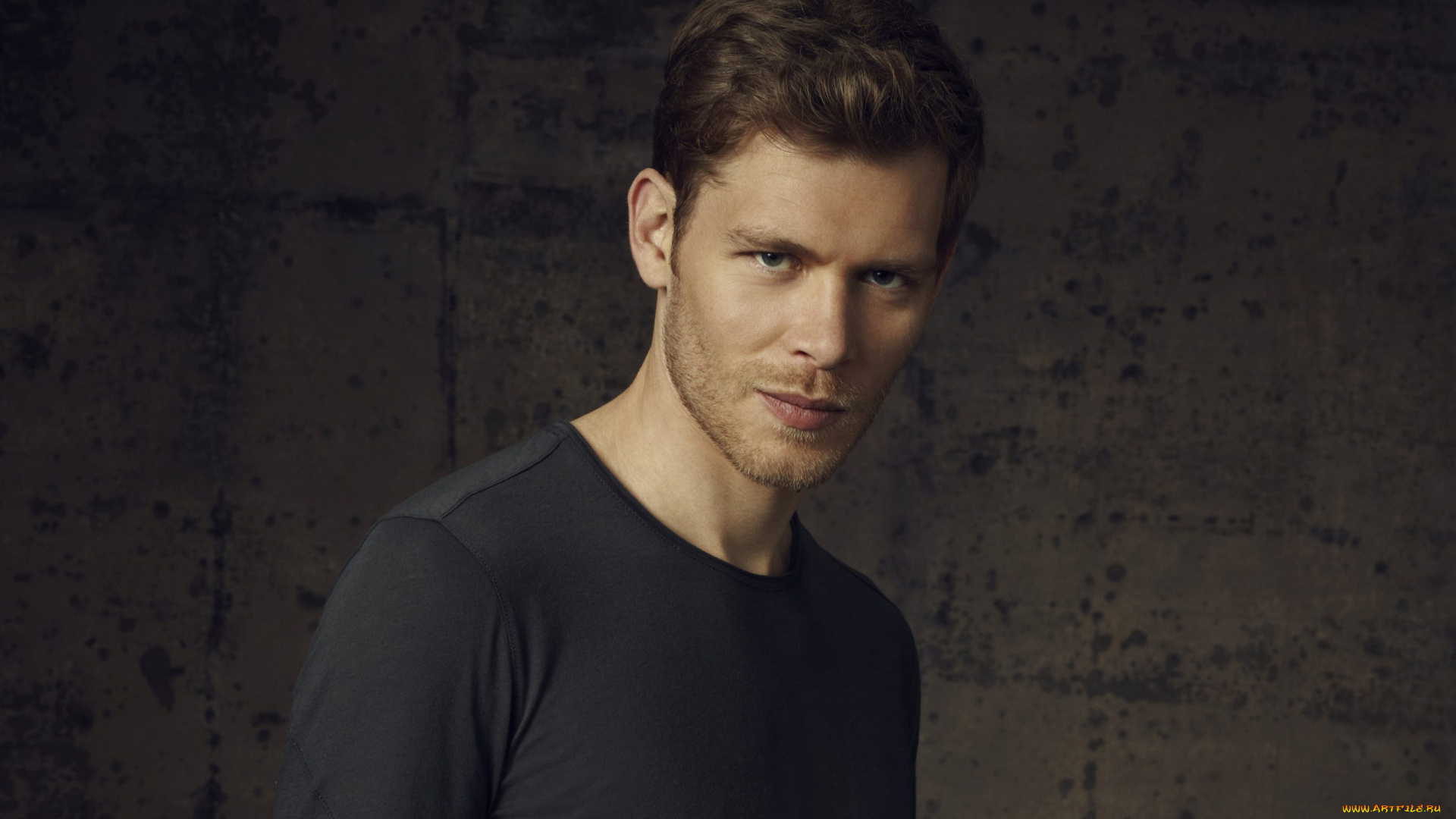 мужчины, joseph, morgan, joseph, morgan