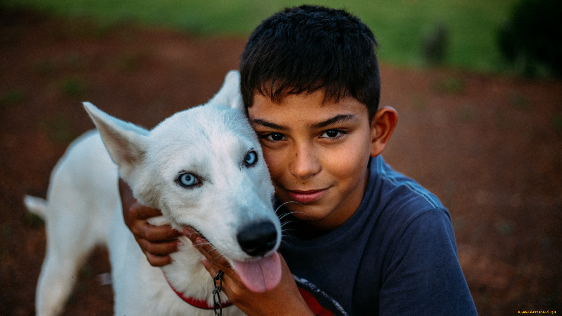 разное, дети, мальчик, собака