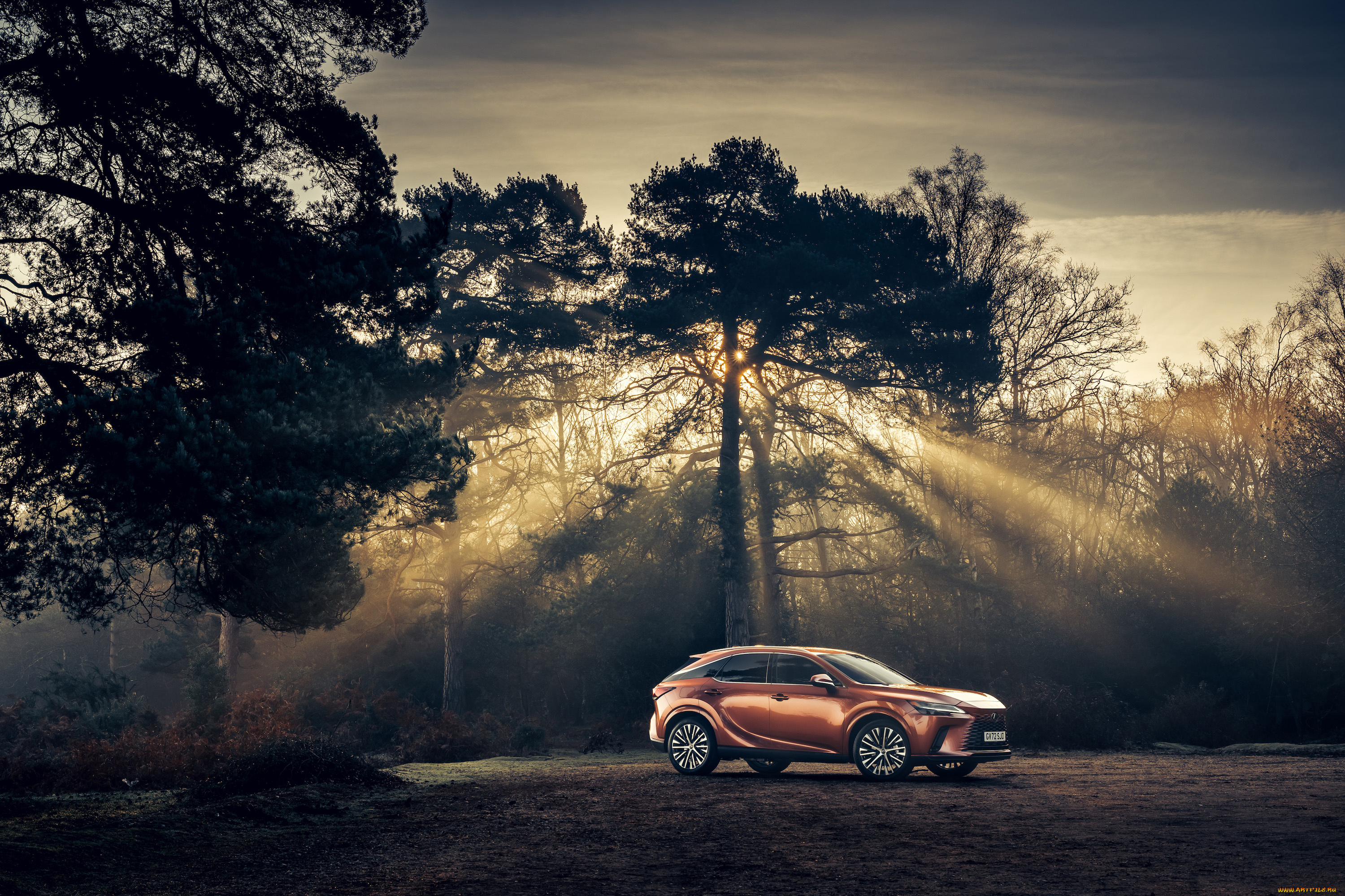 автомобили, lexus